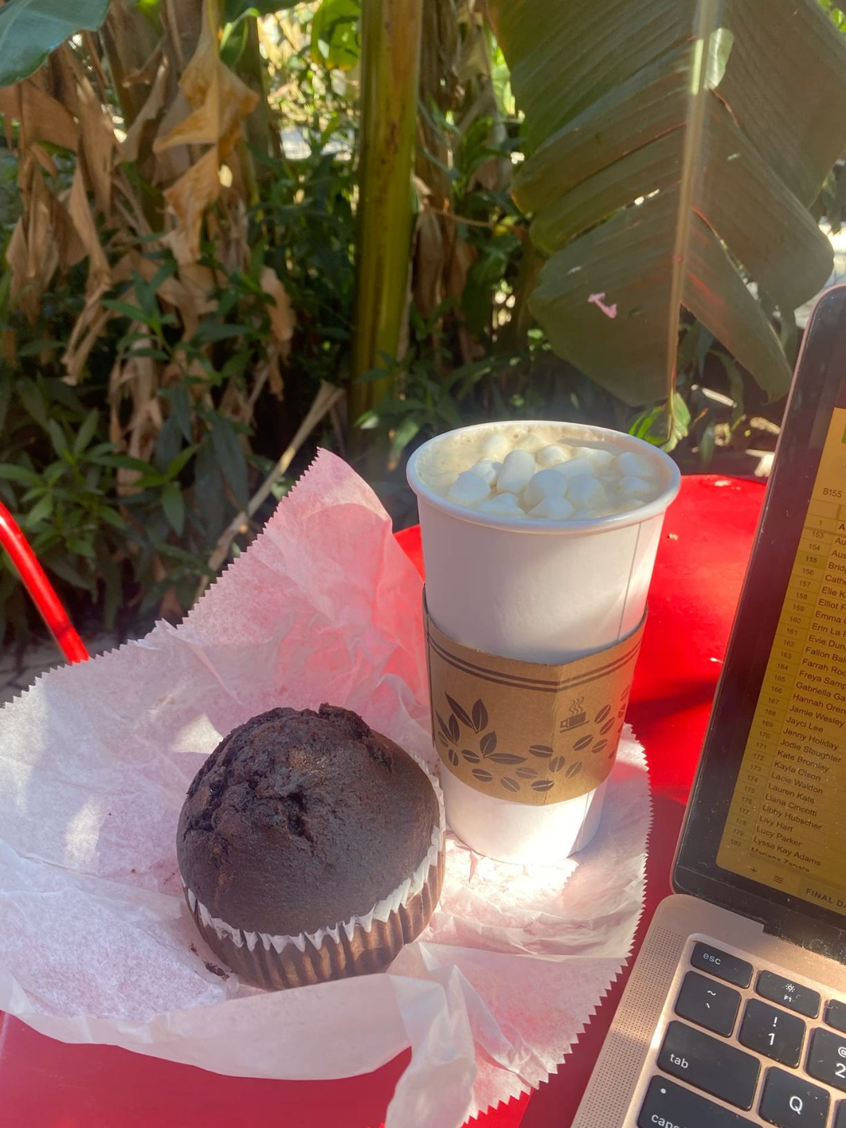 Chocolate muffin and hot cocoa with marshmallows on red table beside laptop in garden setting.