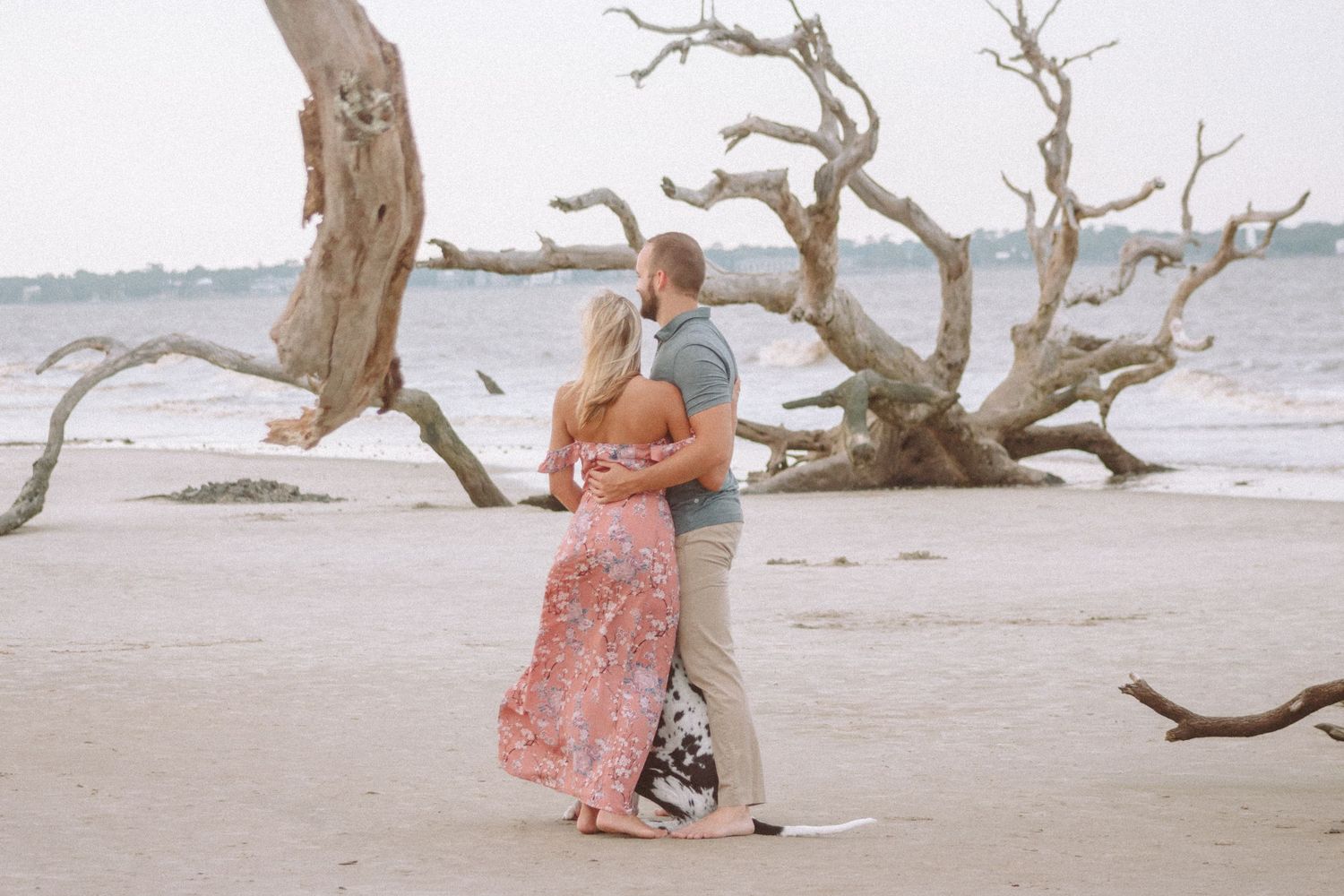 Romantic couple embracing on a sandy beach near driftwood trees along a calm shoreline.