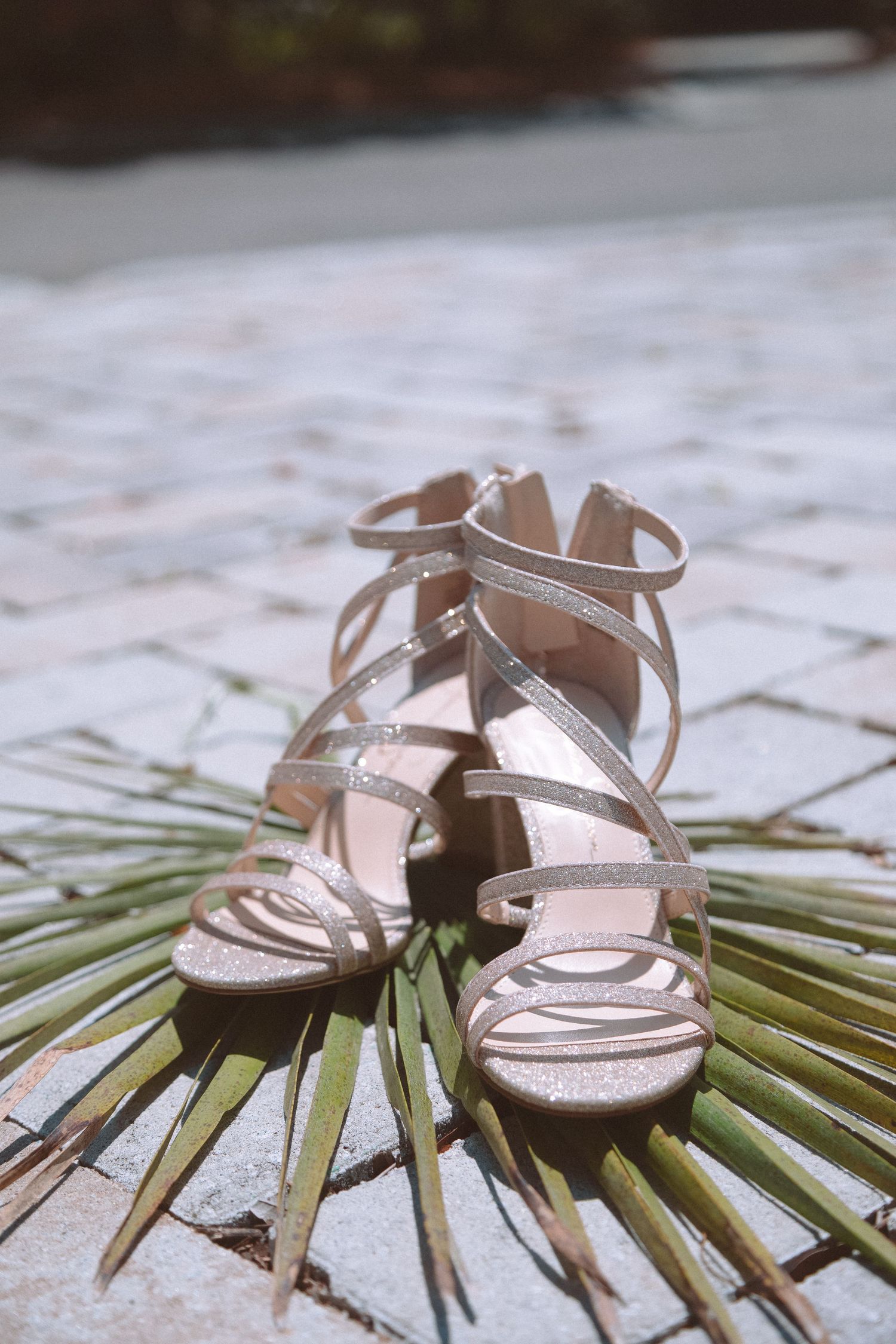 Elegant gold strappy bridal heels resting on a tropical palm leaf on stone pavers.