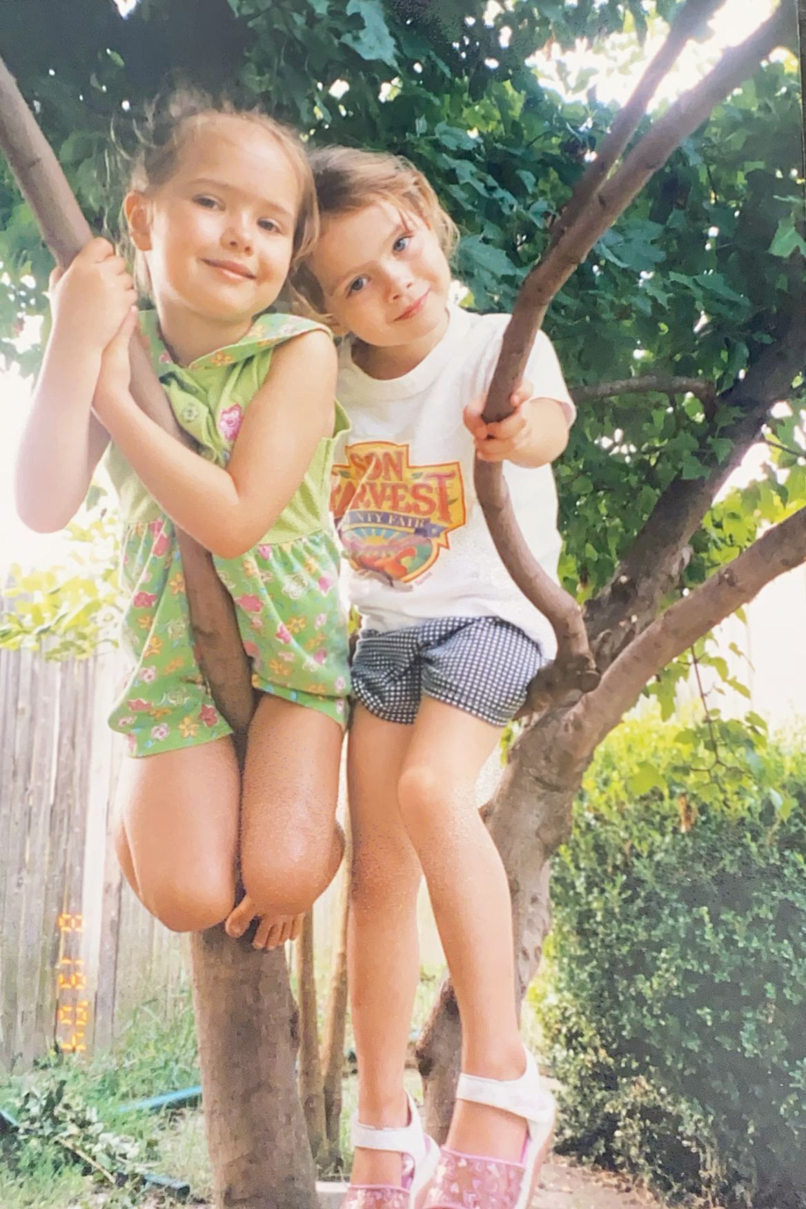 Two young girls climb and pose together in a backyard tree on a sunny day.