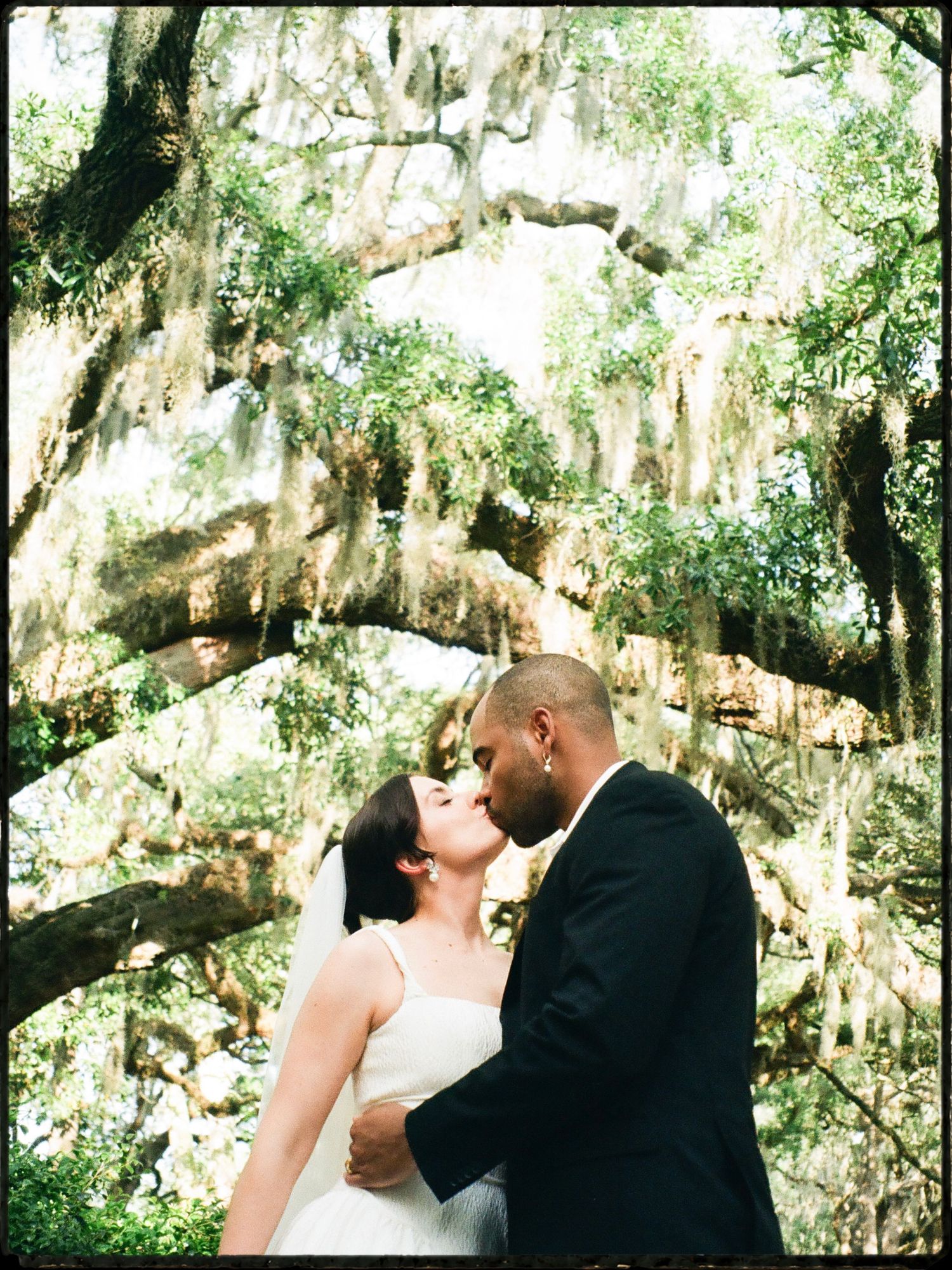 Bride and groom share romantic kiss under sprawling oak tree with Spanish moss at outdoor wedding.