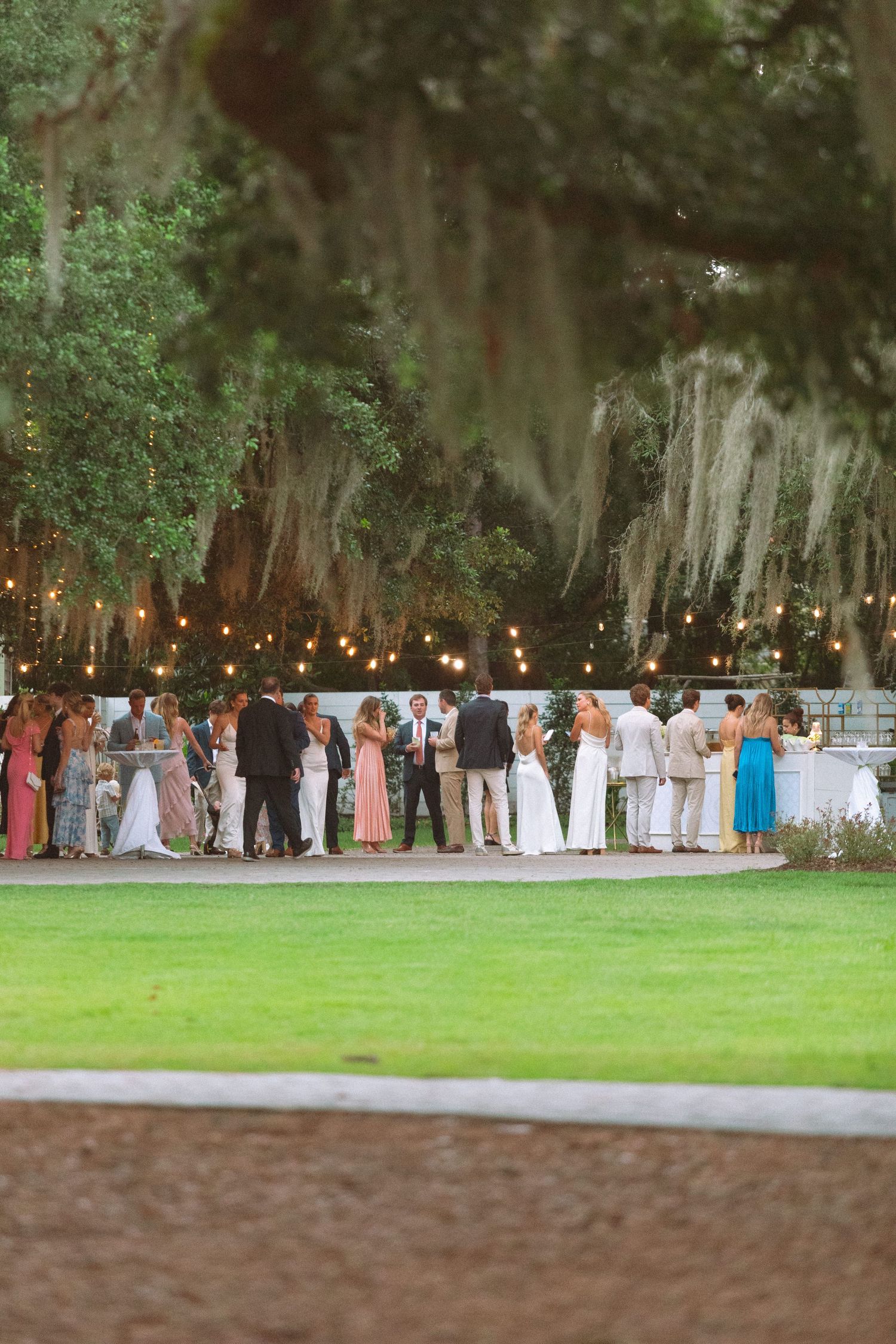 Wedding cocktail hour under Spanish moss-draped trees with string lights and elegantly dressed guests.