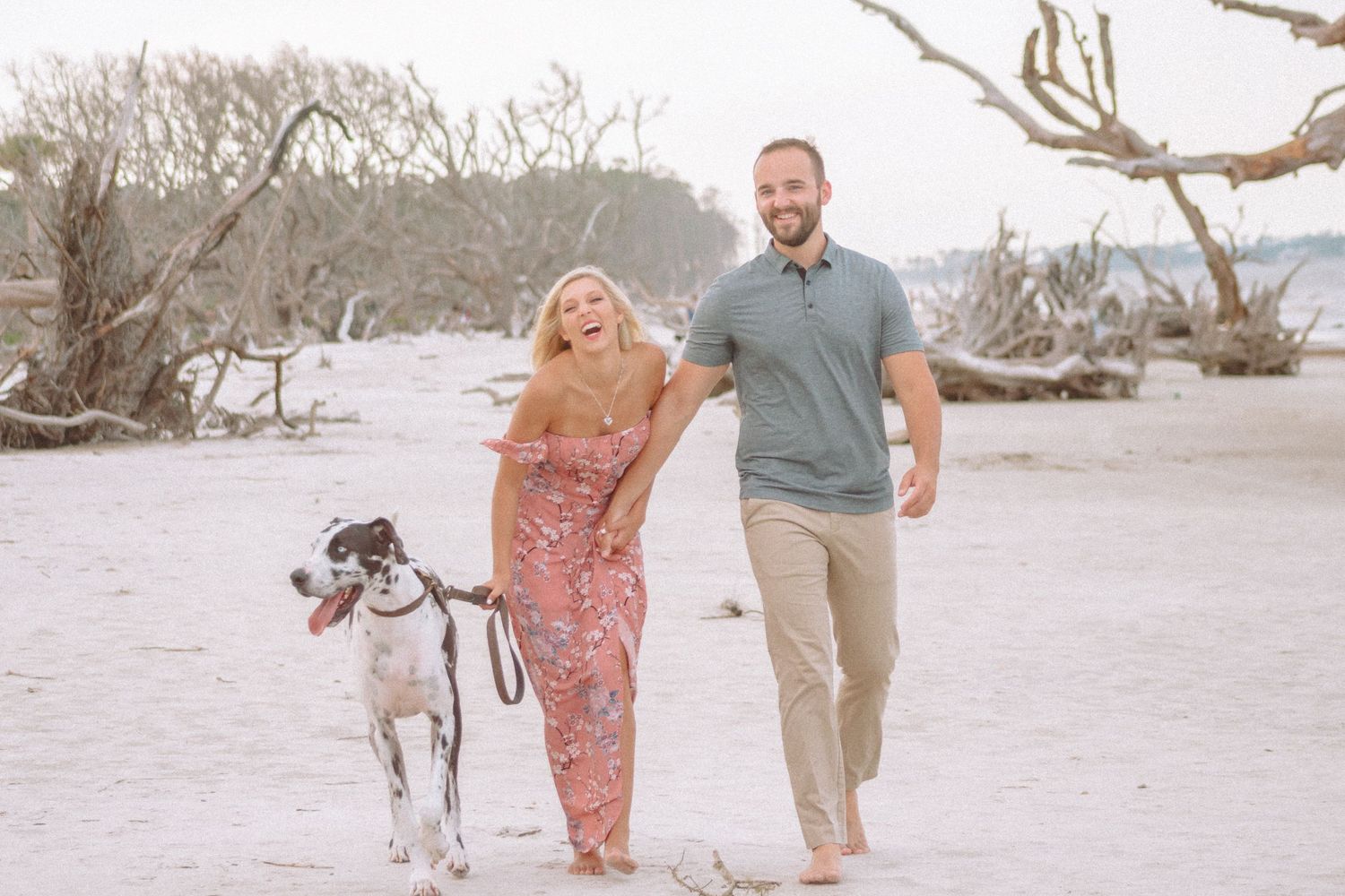 Smiling couple walking a Great Dane dog on a white sandy beach near driftwood.
