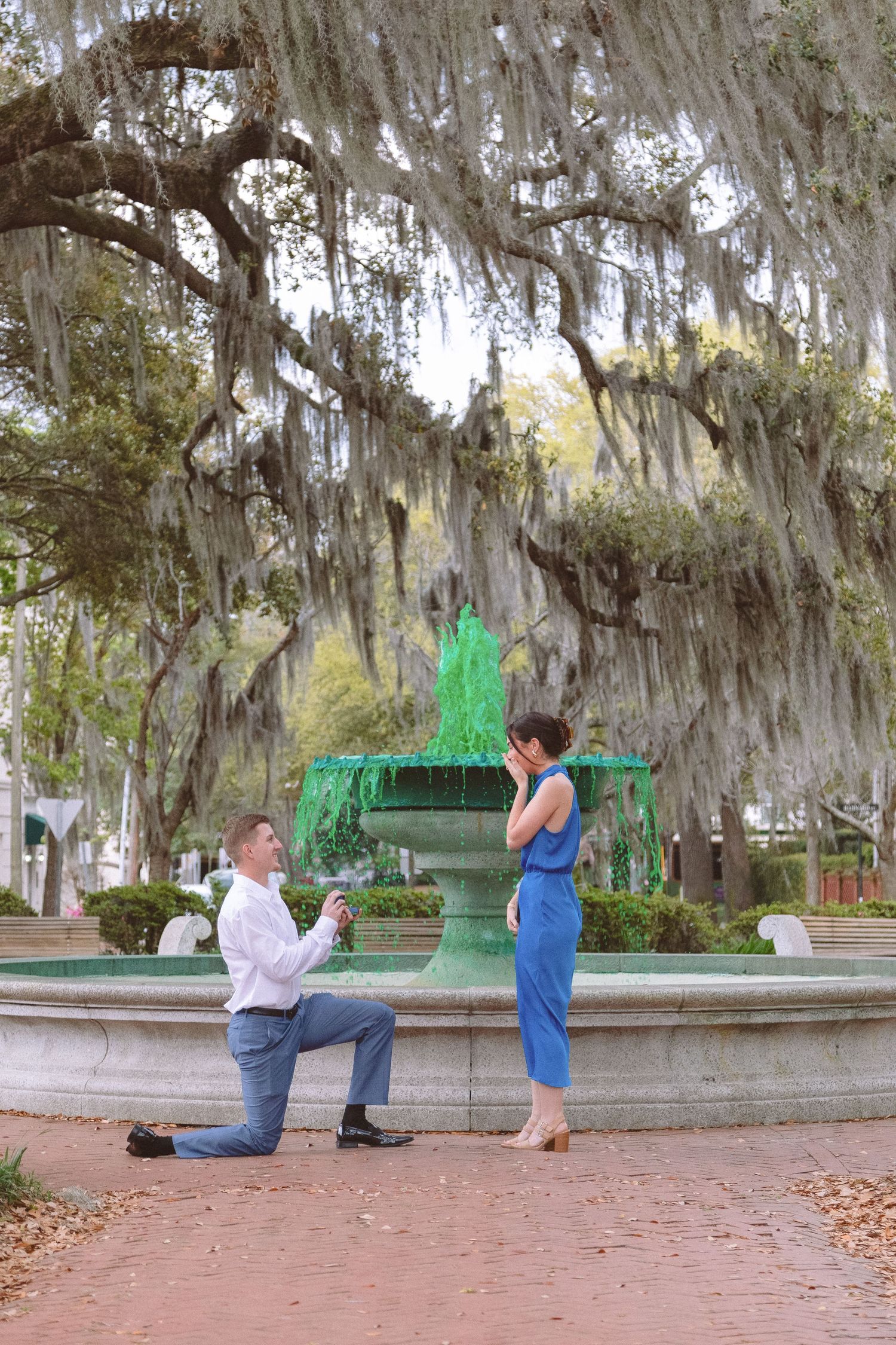 Man proposing on one knee by green fountain under Spanish moss trees.