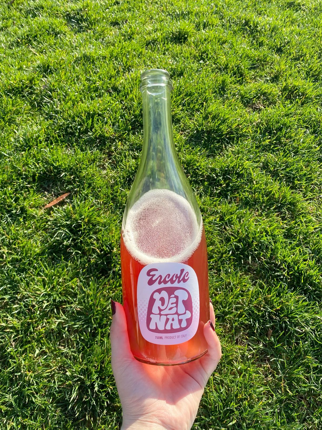 Hand holding Ercole Petnat natural sparkling wine bottle over lush green grass outdoors.