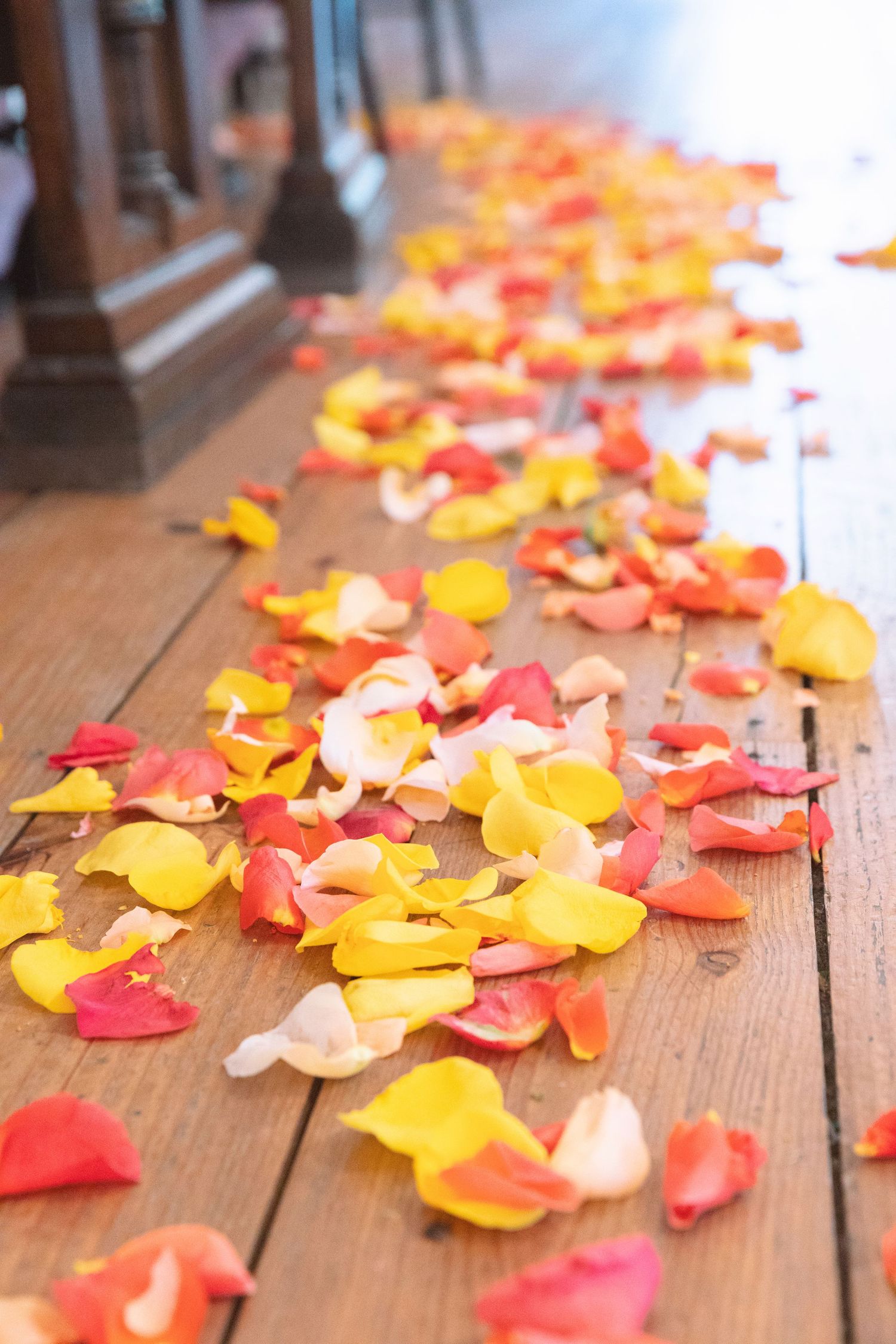 Colorful red, orange, and yellow rose petals scattered along wooden church aisle floor for wedding ceremony.