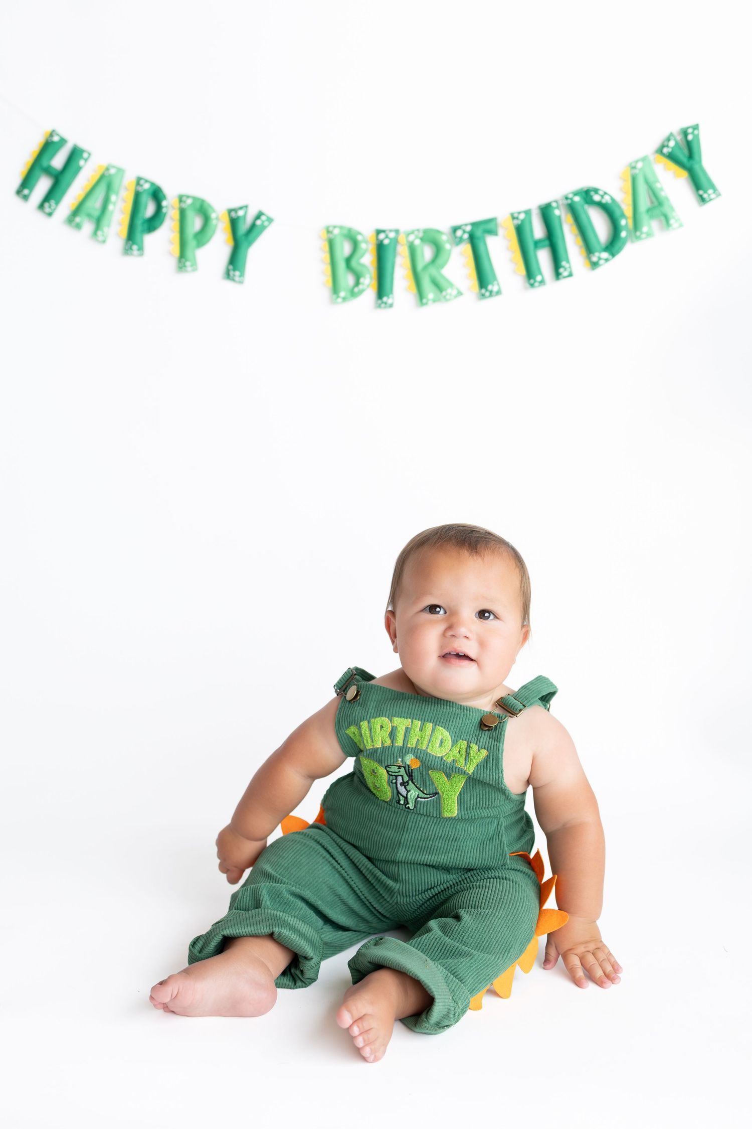 1 year old dinosaur cake smash