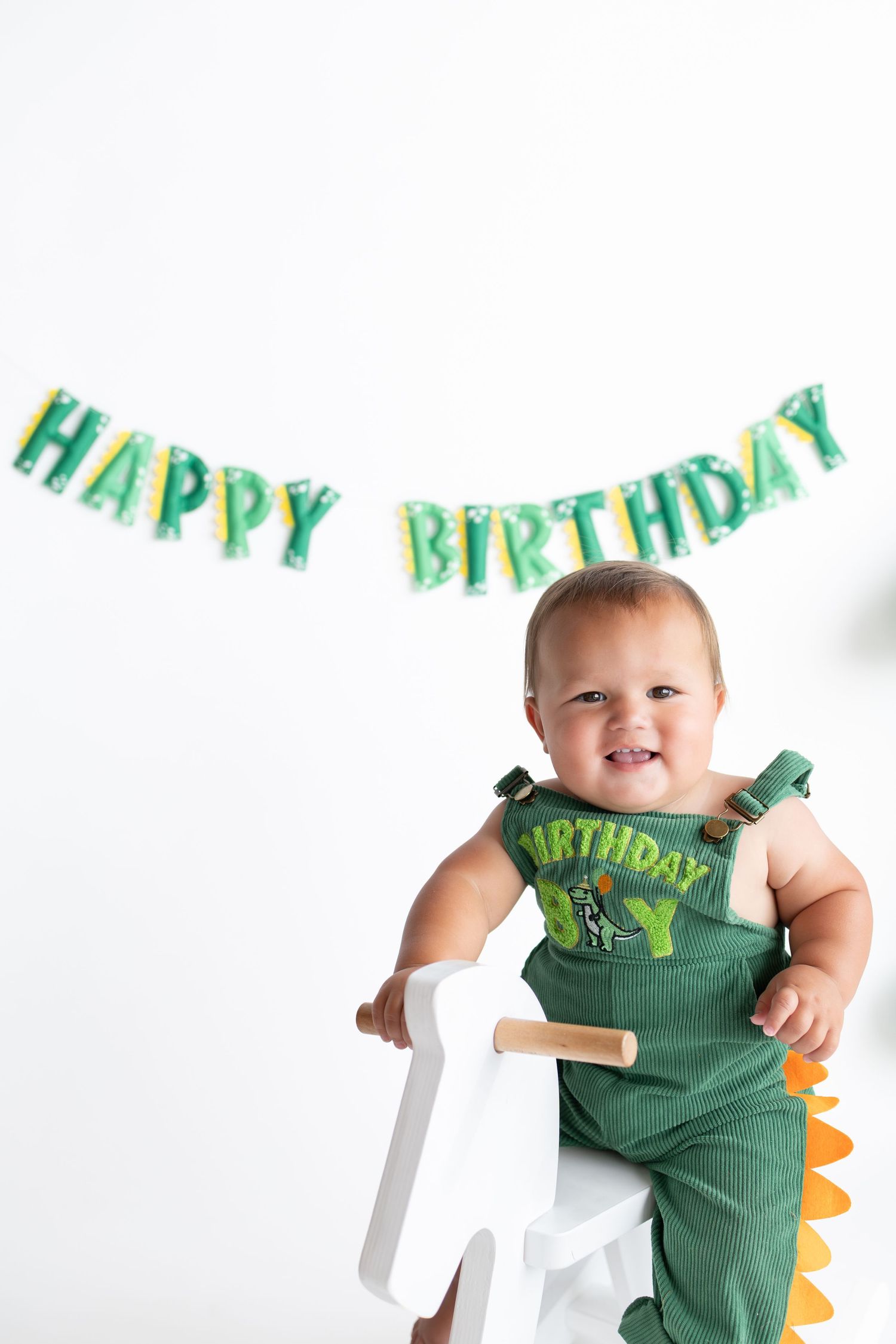 1 year old dinosaur cake smash