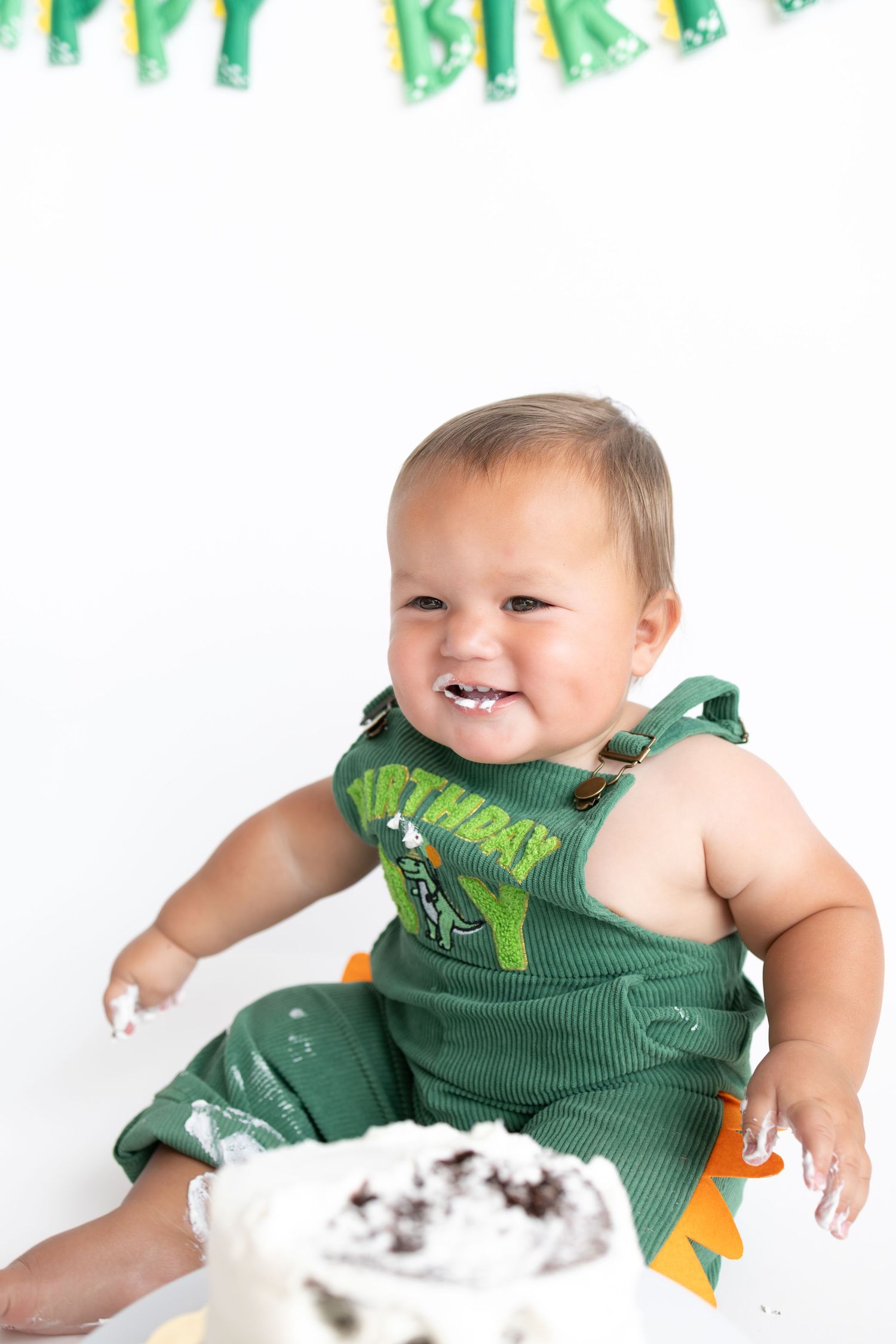 1 year old dinosaur cake smash