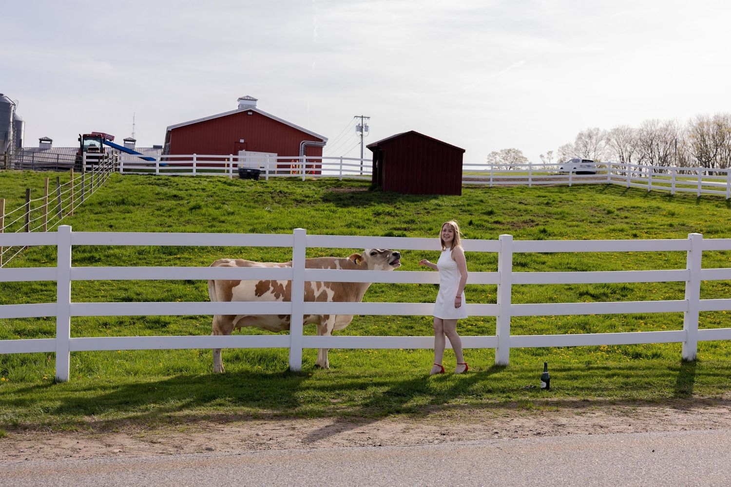 Rural farm scene with white fence and red barn buildings on green hillside while someone stands near the gate.