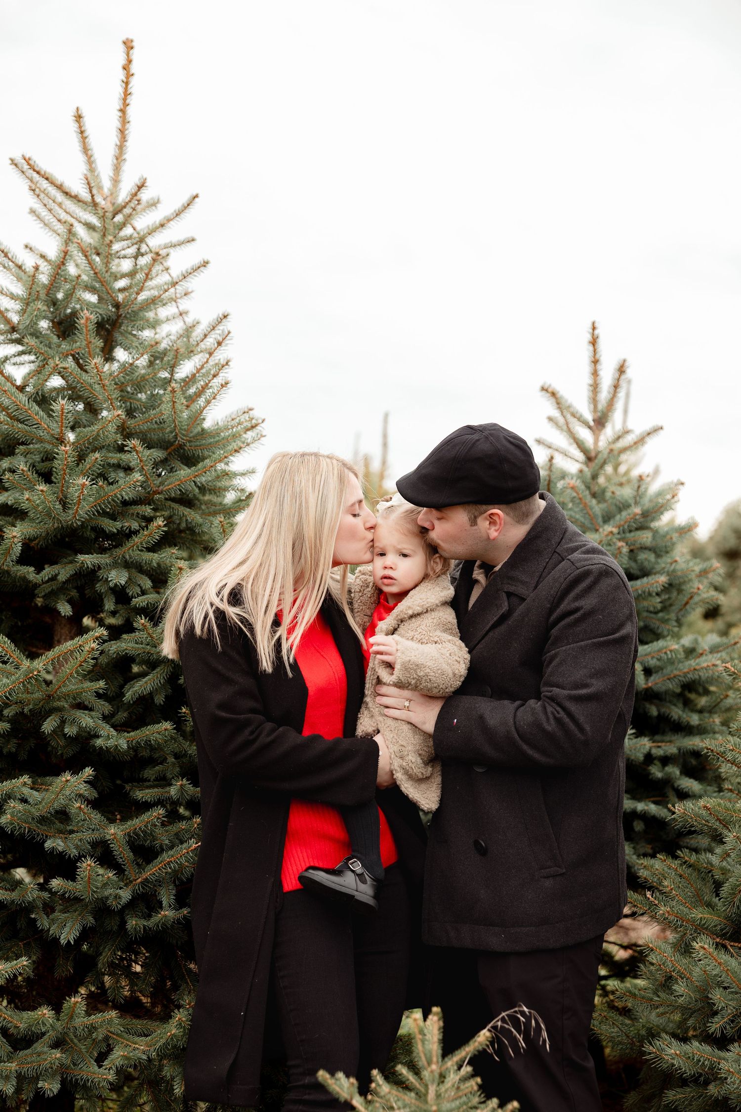 Family shares tender moments together at a Christmas tree farm with evergreen trees in the background.