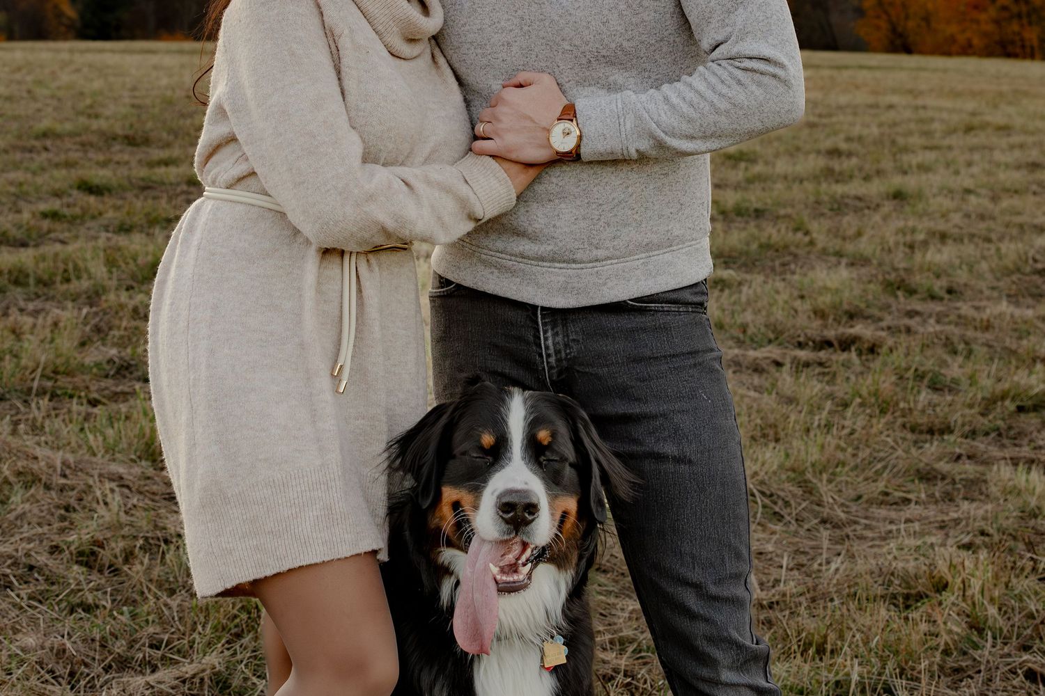 Couple in warm sweaters embraces while standing with their English Springer Spaniel dog in an autumn field.