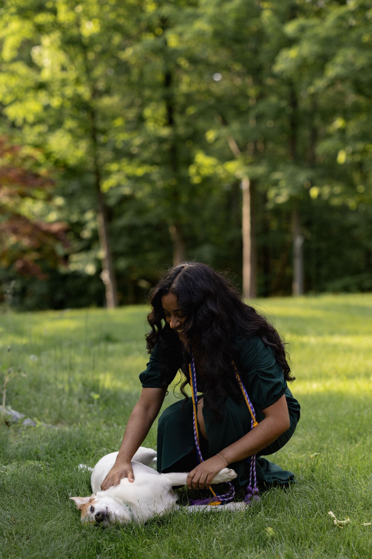A person sitting in a grassy park pets a white cat laying on its back in warm sunlight surrounded by trees.