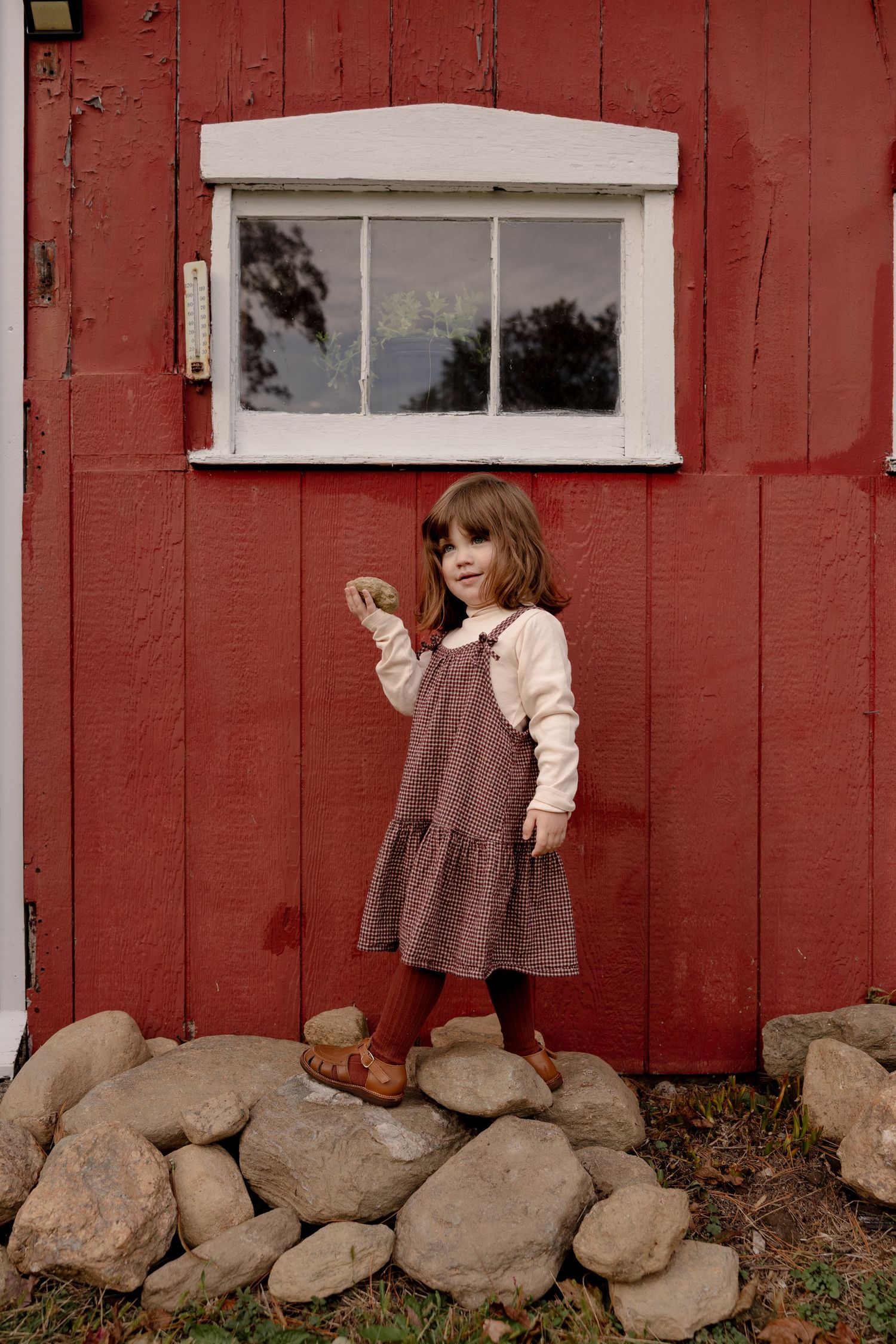 A rustic red barn wall with white-trimmed windows and a foundation of stacked stones creates a charming backdrop.