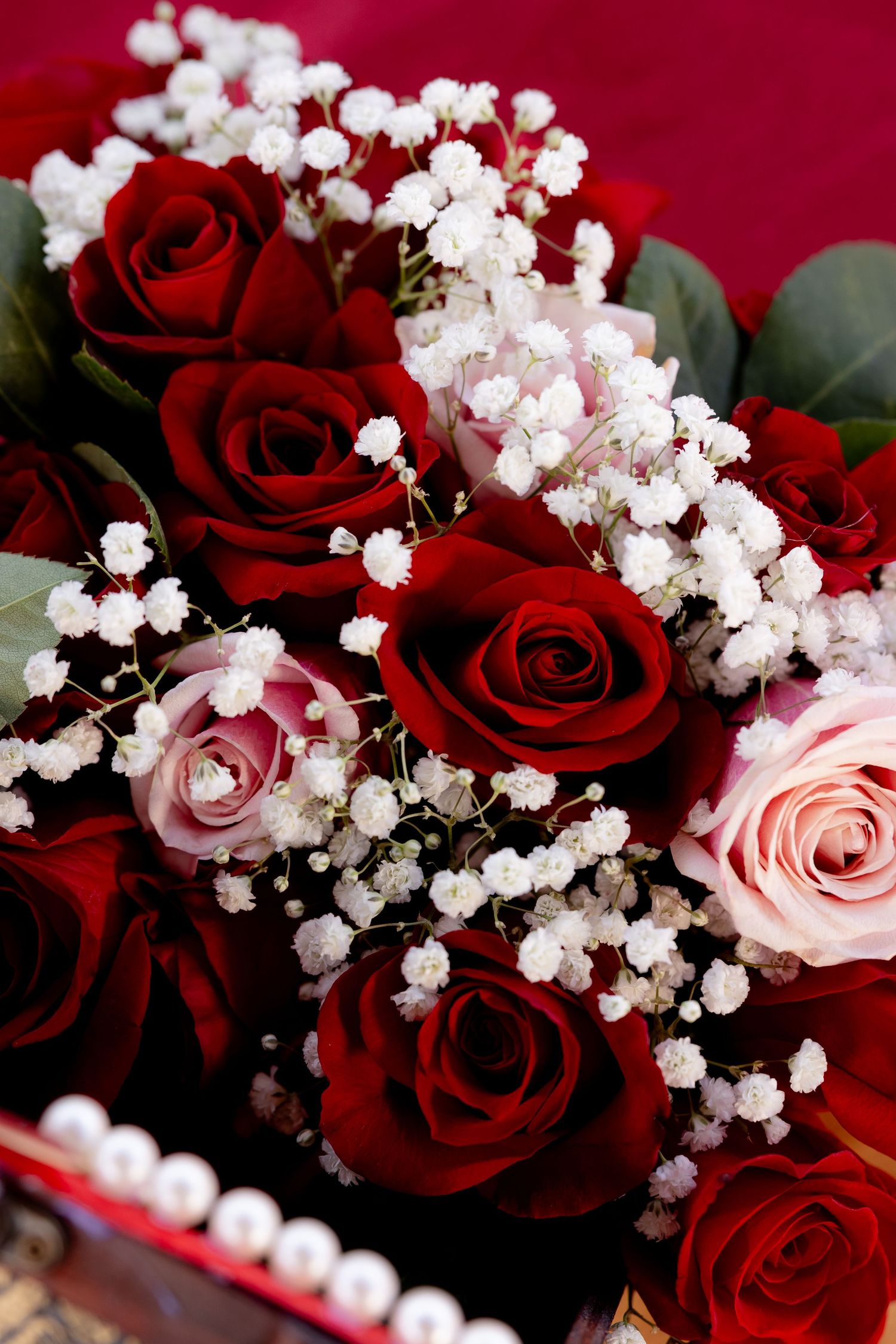 Deep red roses and delicate white baby's breath flowers create a romantic floral arrangement against a burgundy background.