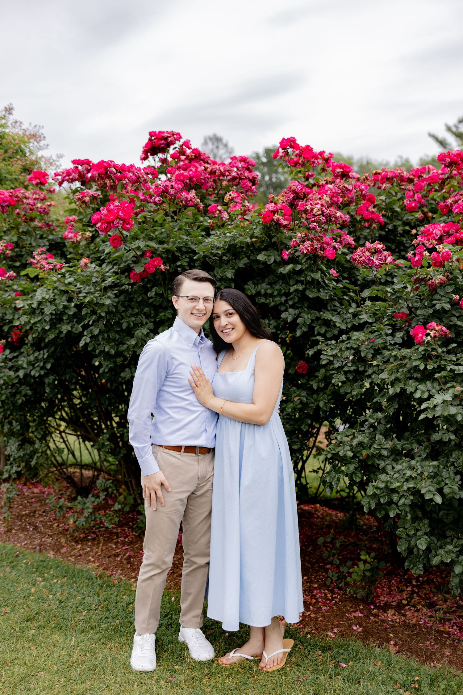 A couple poses for engagement photos in front of a vibrant red rose bush hedge on a cloudy day.