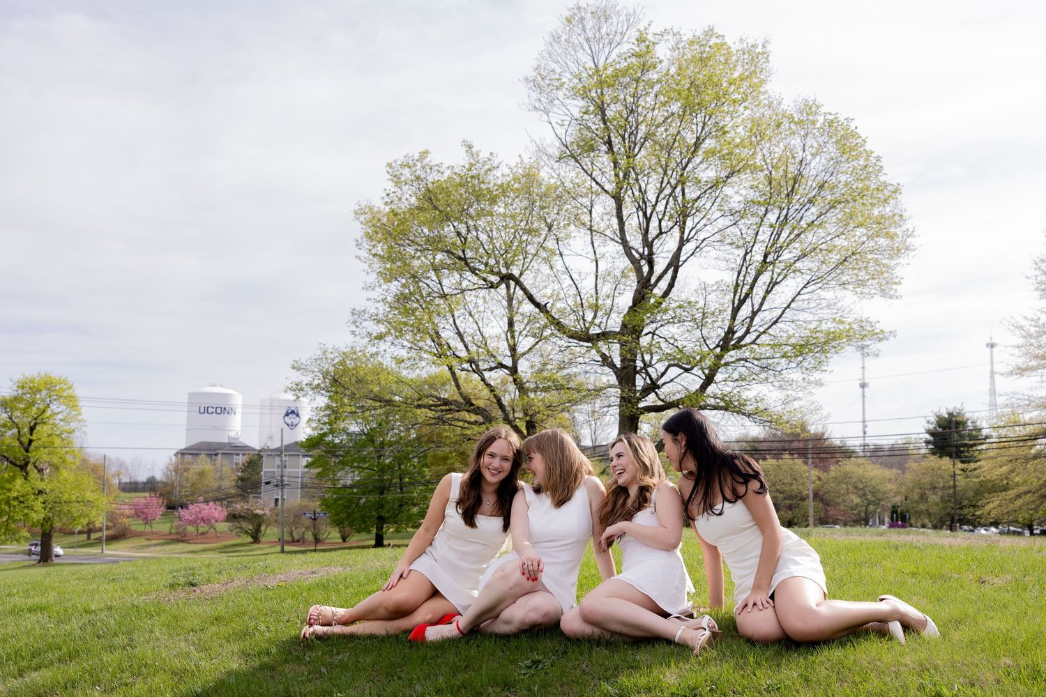 A group lounges together on grassy parkland with blooming trees and city buildings visible in the background.