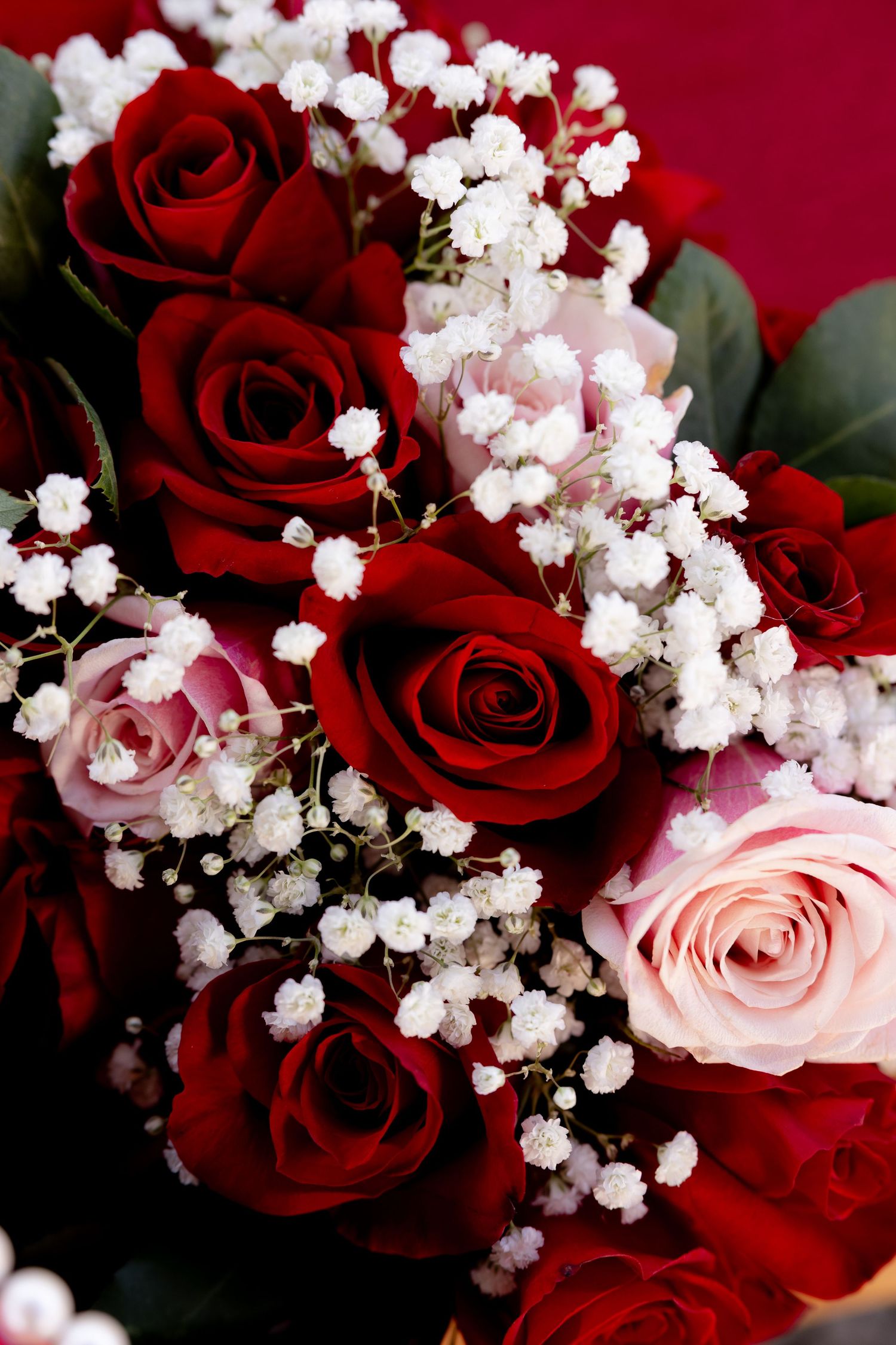 Beautiful bouquet of red and pink roses with delicate white baby's breath flowers against a deep red background.