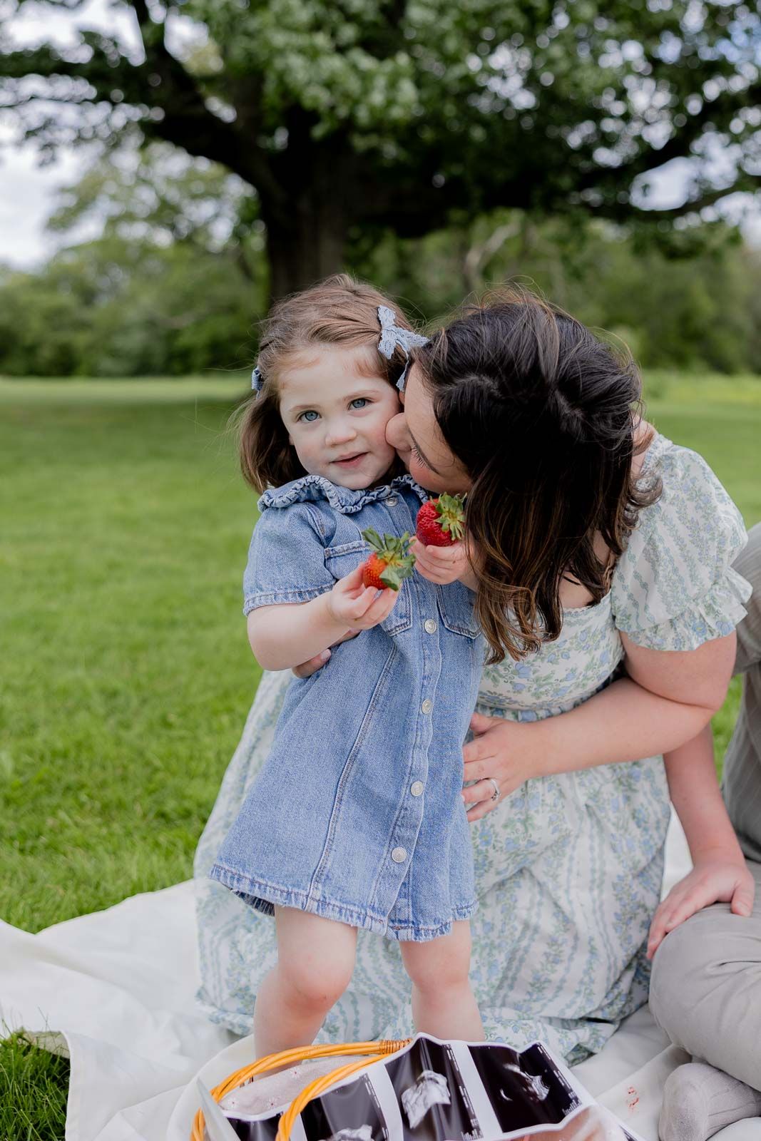 A sweet summer picnic moment with a denim dress and strawberries on a blanket in a green park setting.