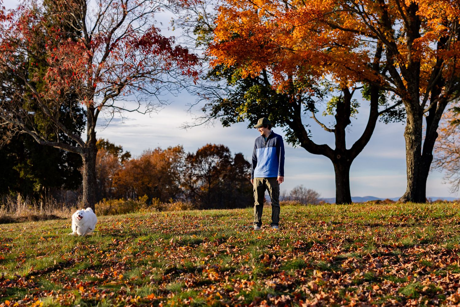 Beautiful fall foliage with vibrant orange and red leaves in a scenic park setting.