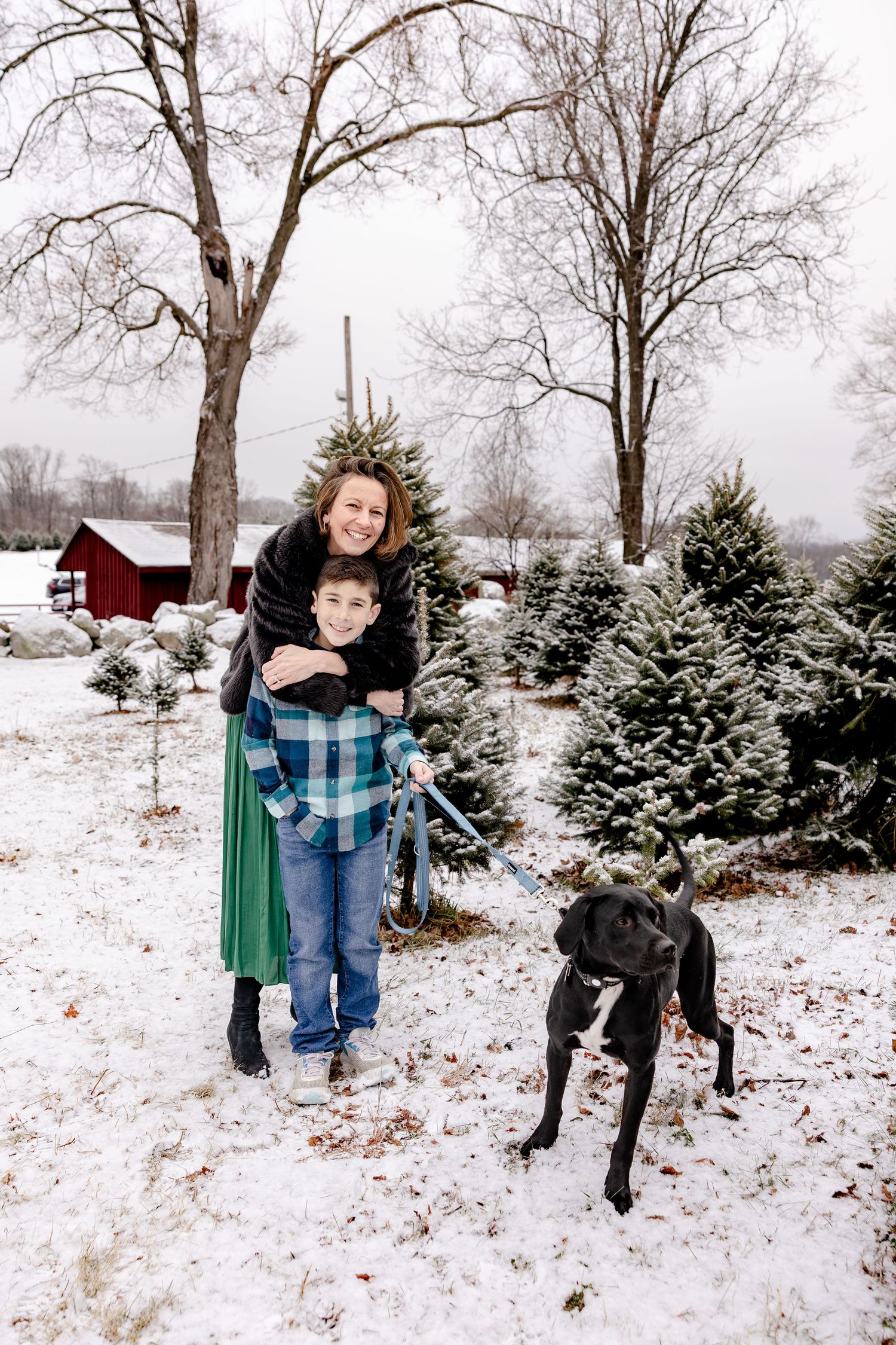 Snow covered evergreen trees at a Christmas tree farm with people and a black dog in winter scenery.