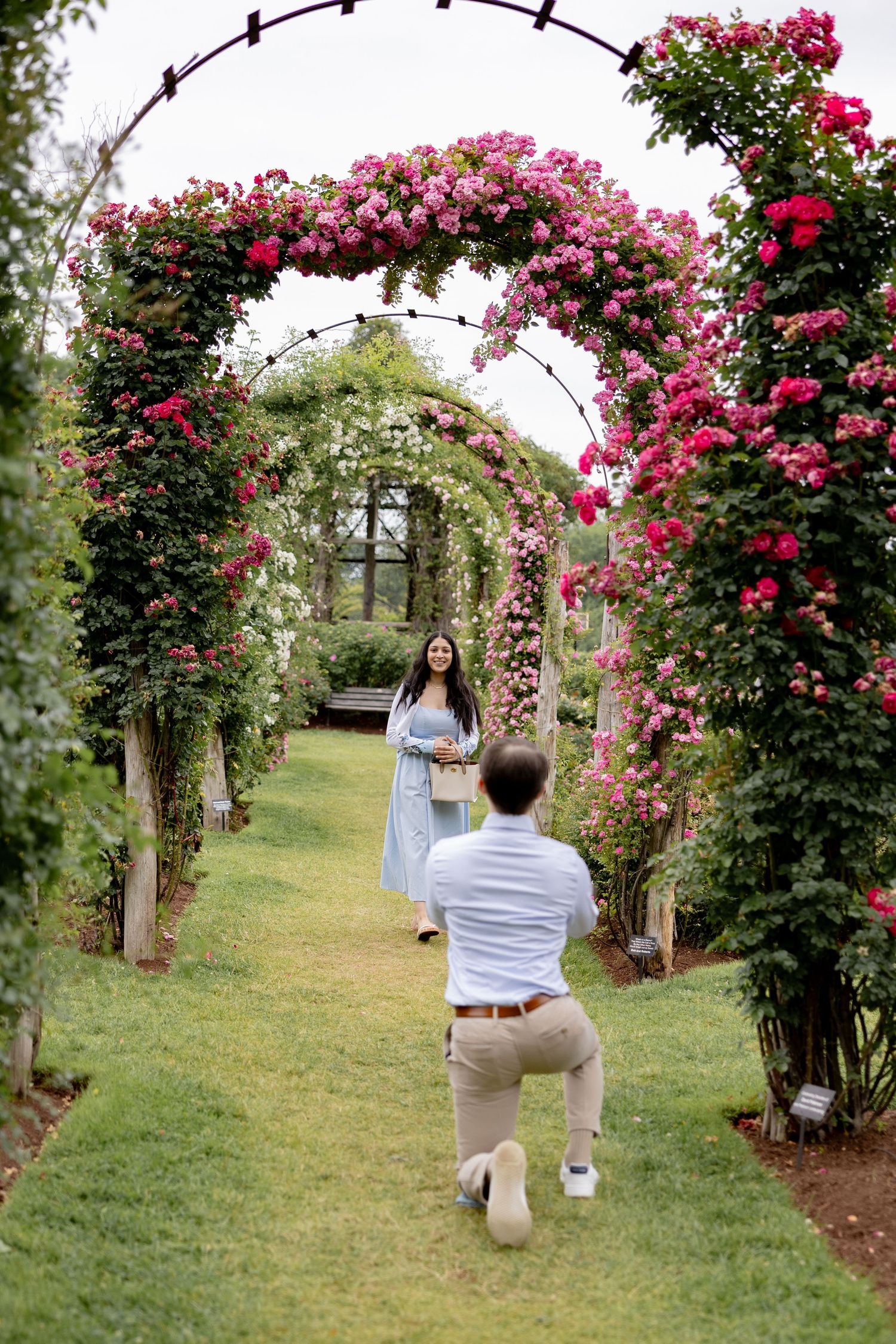 A romantic proposal scene unfolds beneath a beautiful pink rose archway in a garden setting.