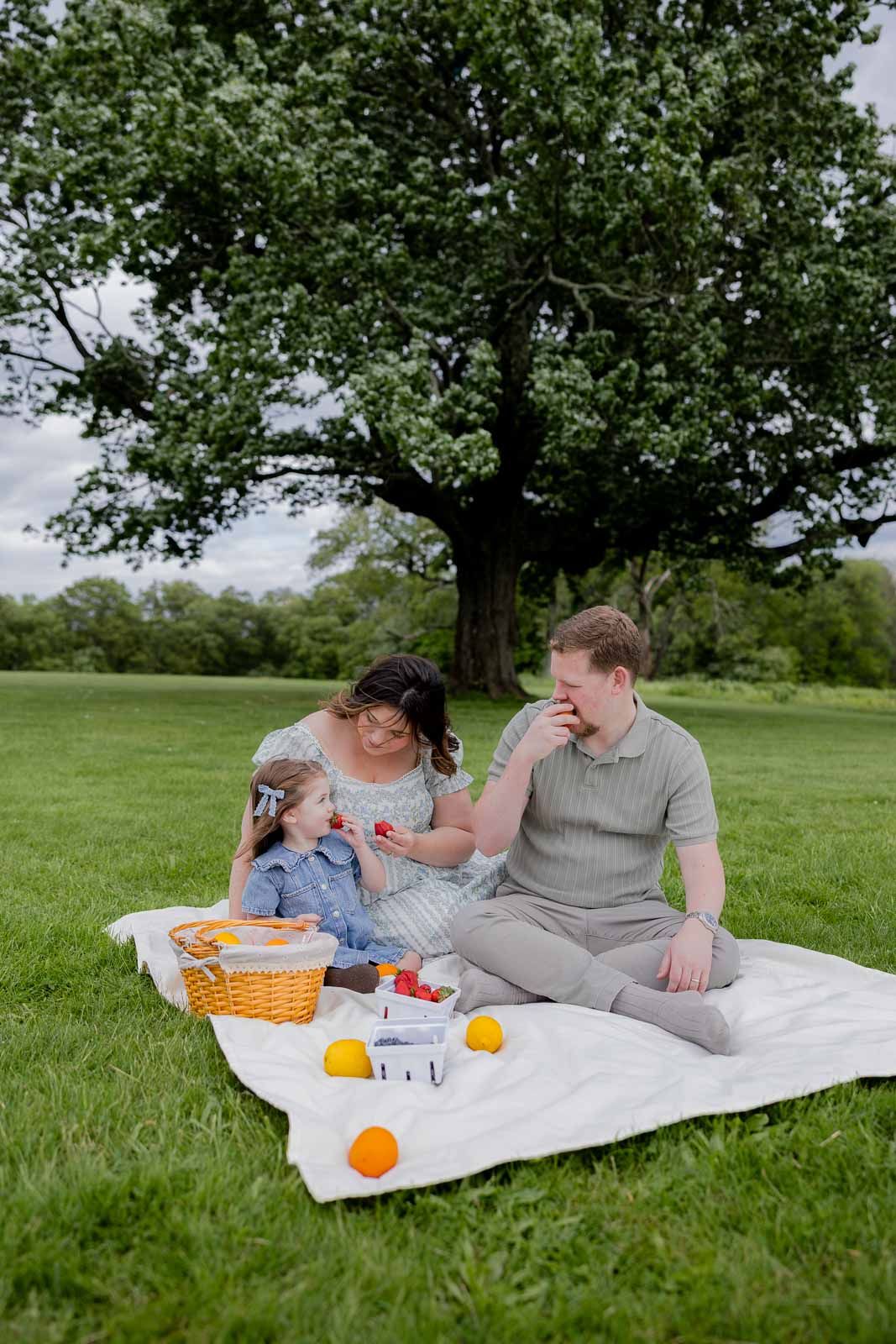 Family enjoying a summer picnic under a large tree with fruits and snacks on a white blanket.