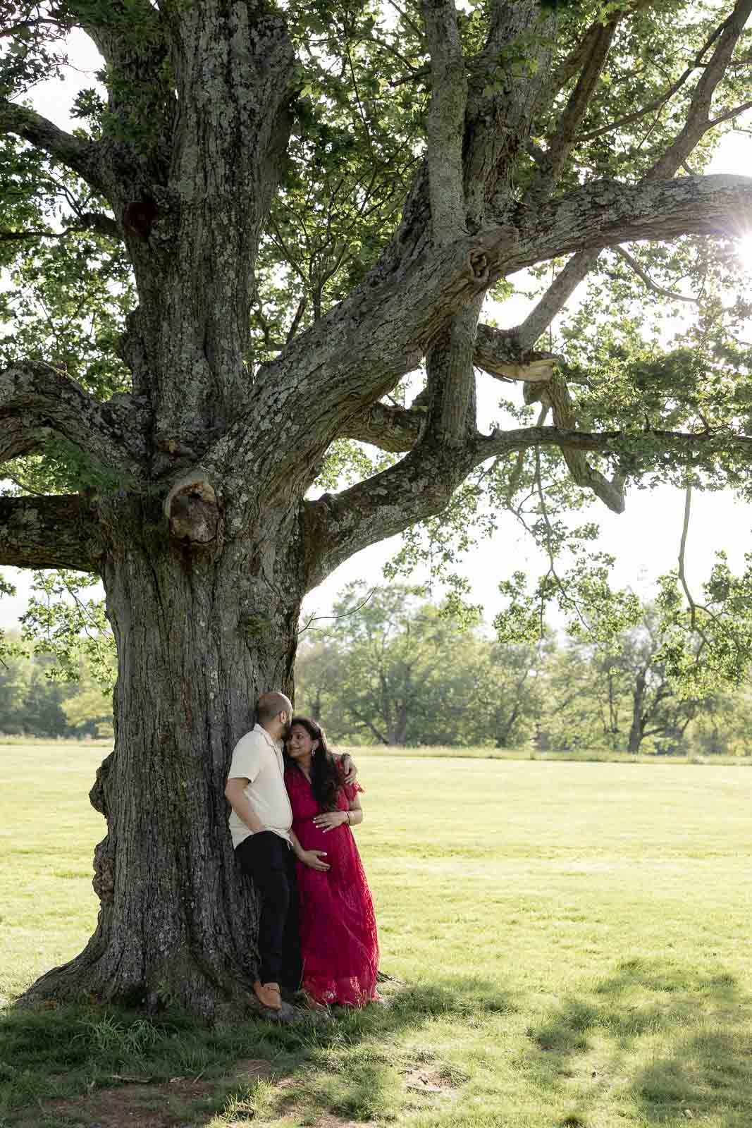 A couple stands intimately together beneath a majestic old oak tree in a sunlit meadow.