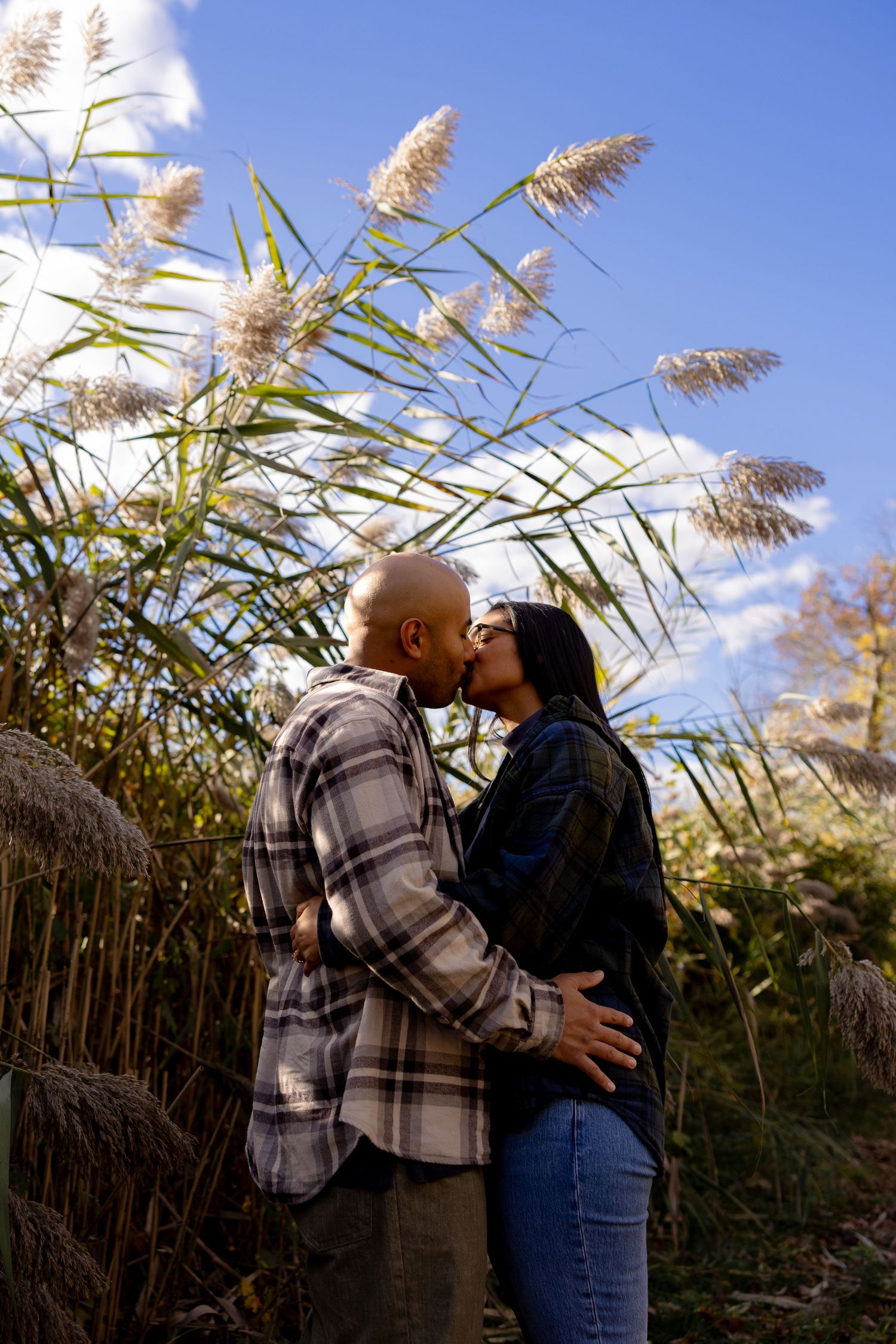 A couple shares a romantic kiss surrounded by tall pampas grass swaying in the breeze against a blue sky.