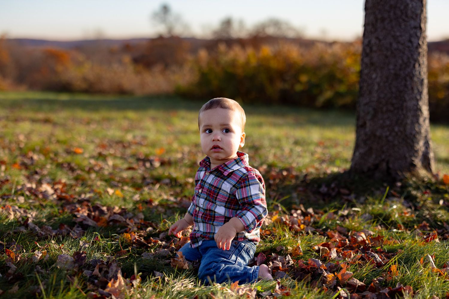Small child exploring autumn leaves near tree trunk during golden hour.