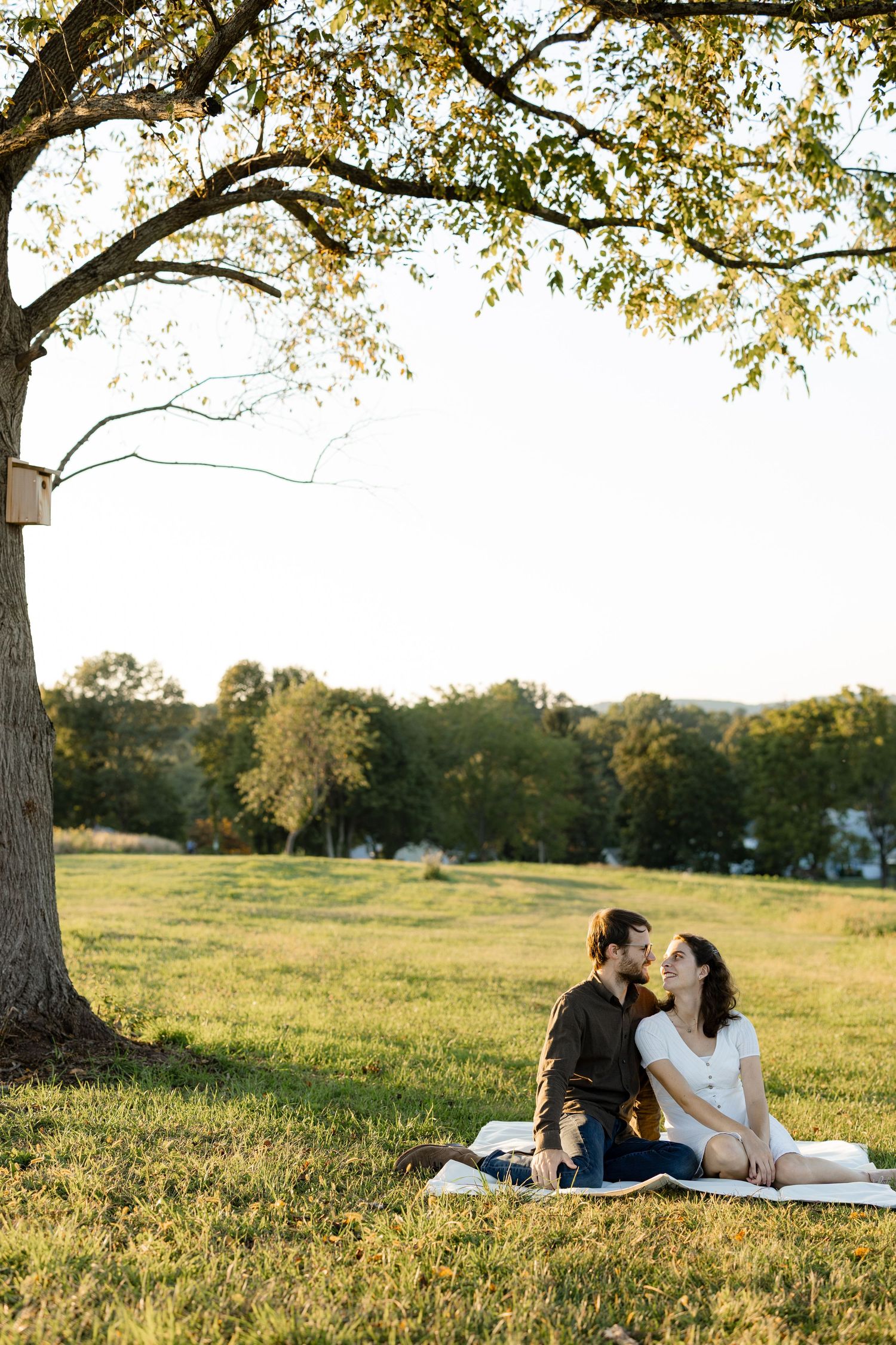 A couple enjoys a romantic picnic on a blanket under a large tree in a sunlit meadow during golden hour.