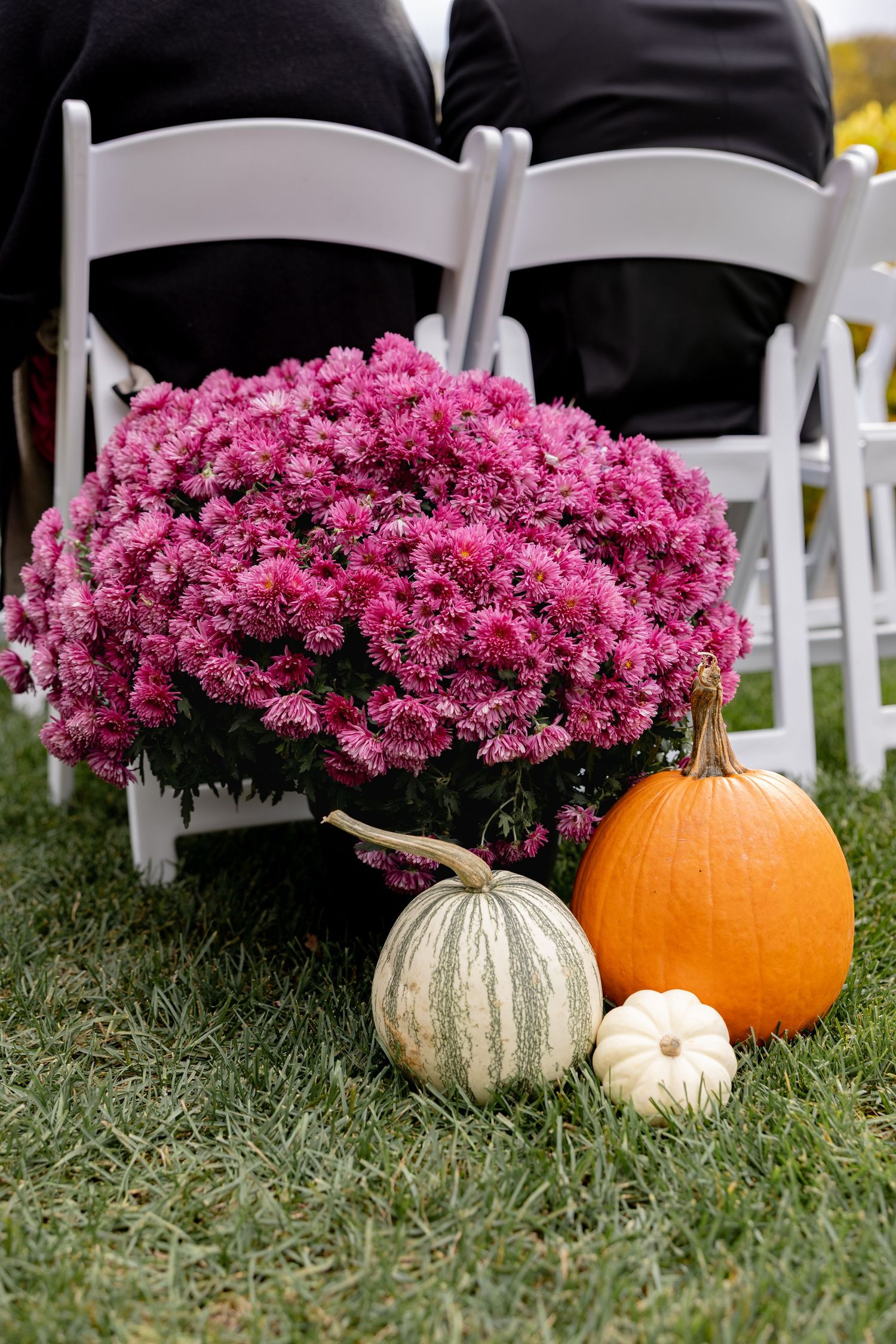 Pink chrysanthemums and orange pumpkins decorate a grassy area near white chairs for an autumn outdoor event.