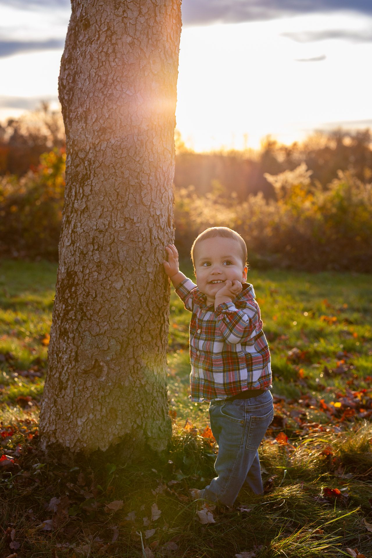 Child stands beside large tree trunk during golden hour in autumn setting.