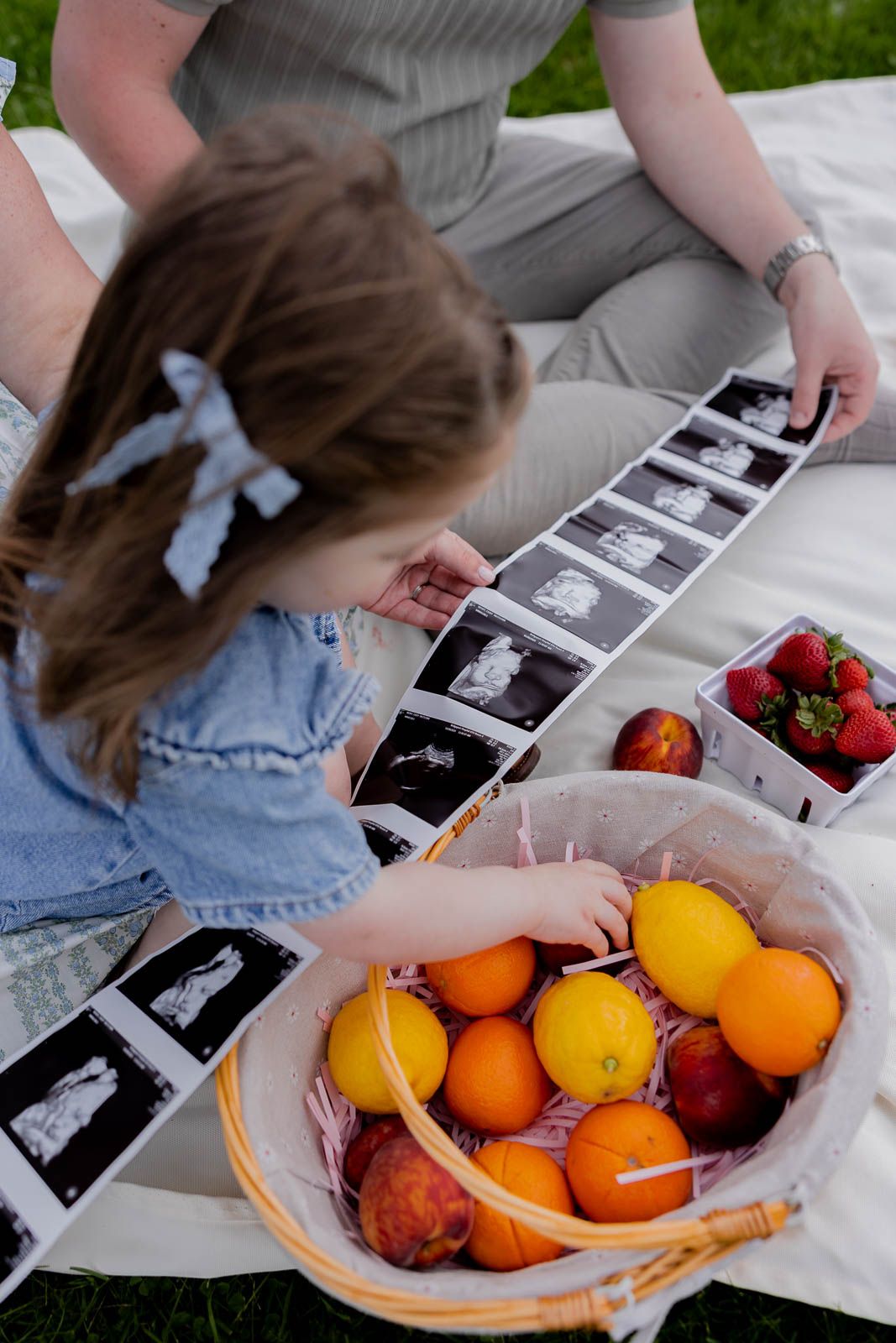 Citrus fruits and strawberries arranged on a picnic blanket with photographs.