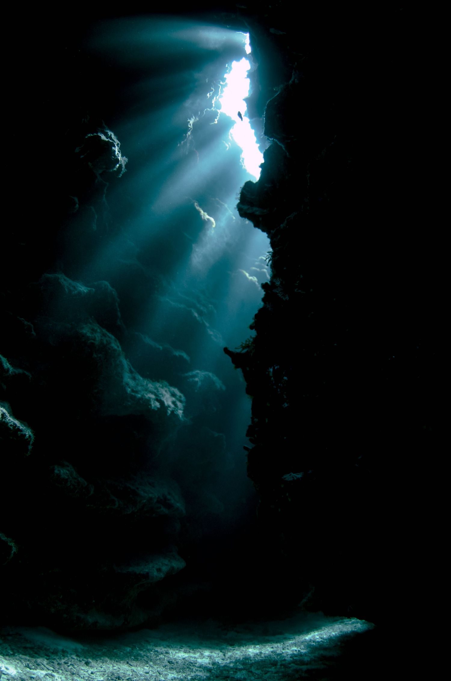 Dramatic rays of sunlight pierce through dark underwater cave openings.