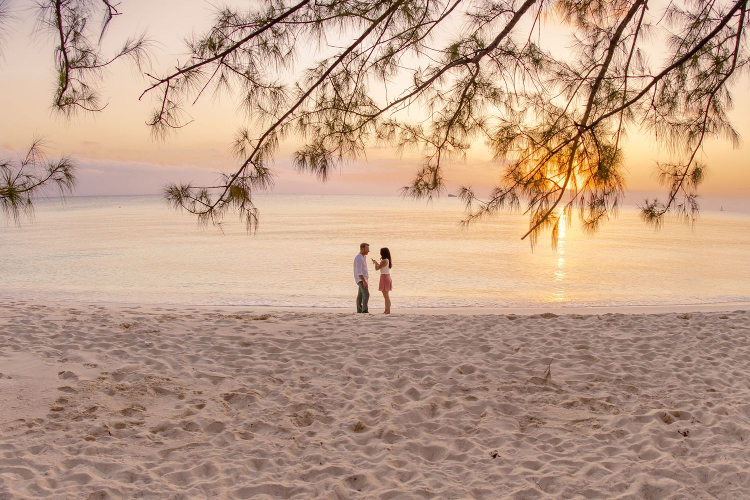Distant couple strolling on beach under overhanging trees at sunset.