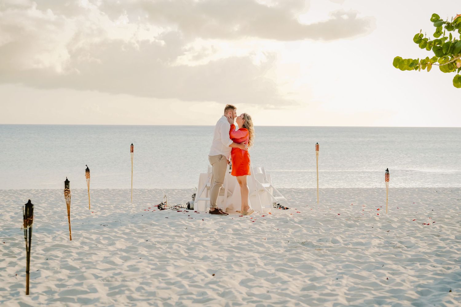 Wide beach landscape showing proposal moment with birds and ocean in background.