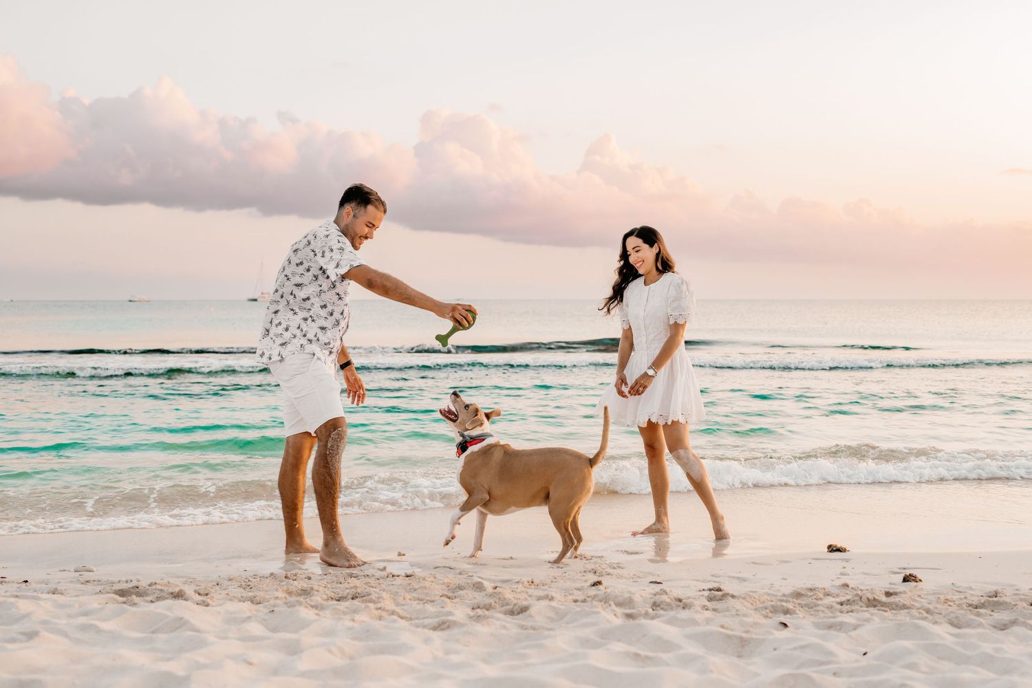 Family plays with dog on beach during pink sunset with waves rolling in background.