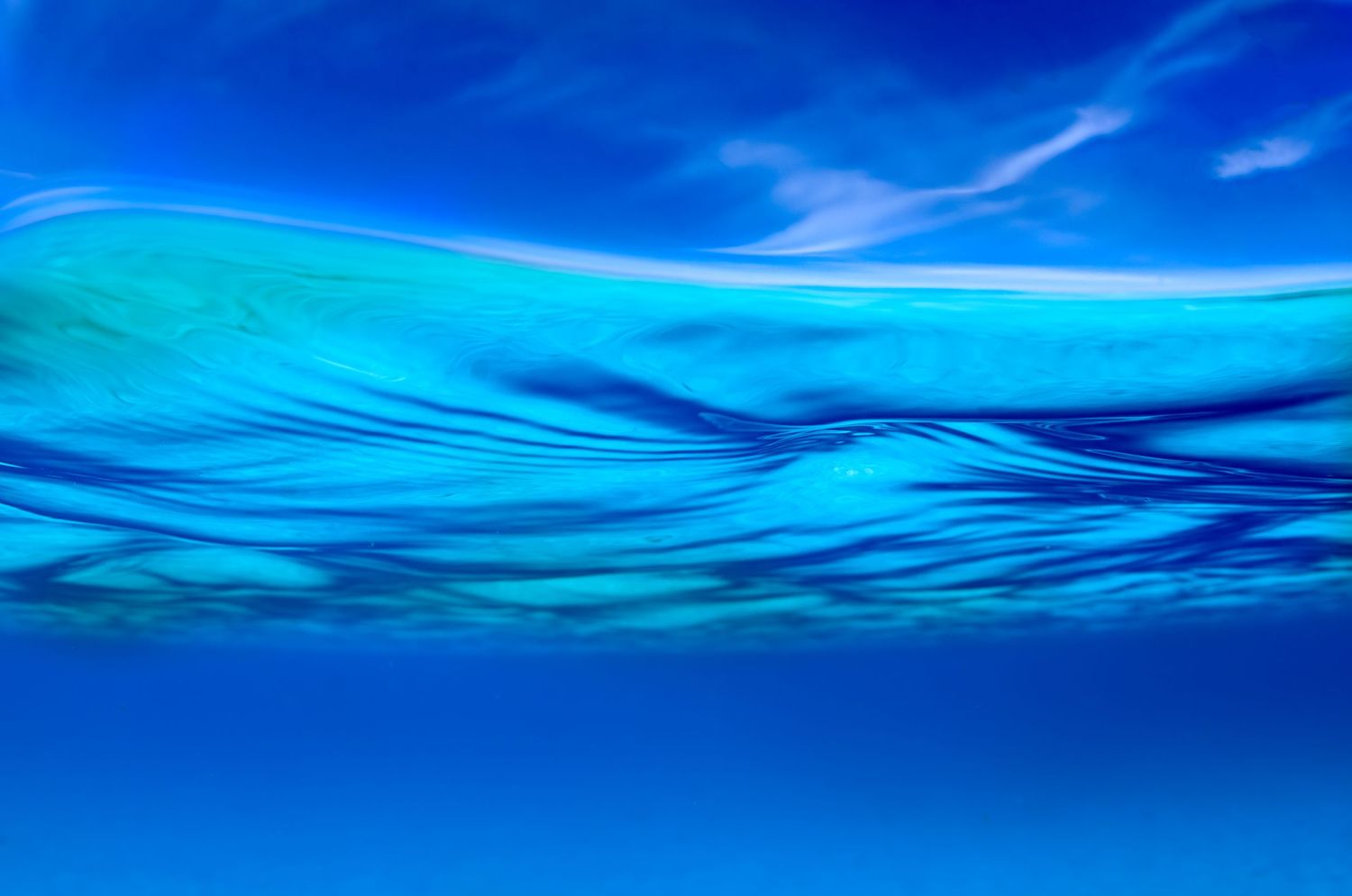 Gentle waves create rippling patterns against bright blue ocean surface.