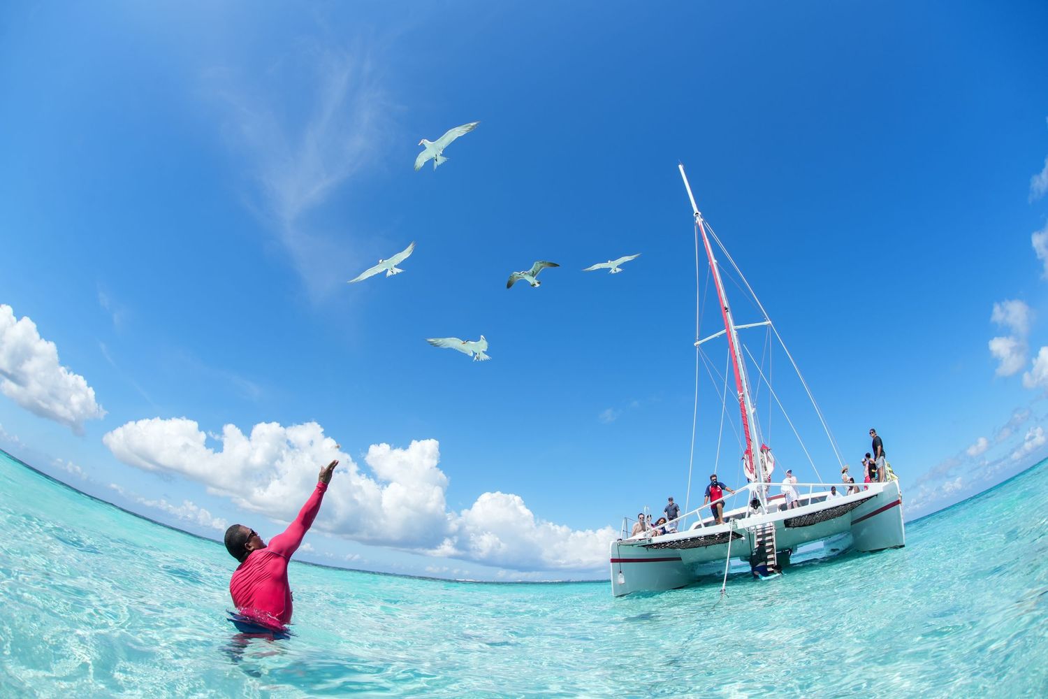 Seabirds soar above a boat in bright blue tropical waters on a sunny day.