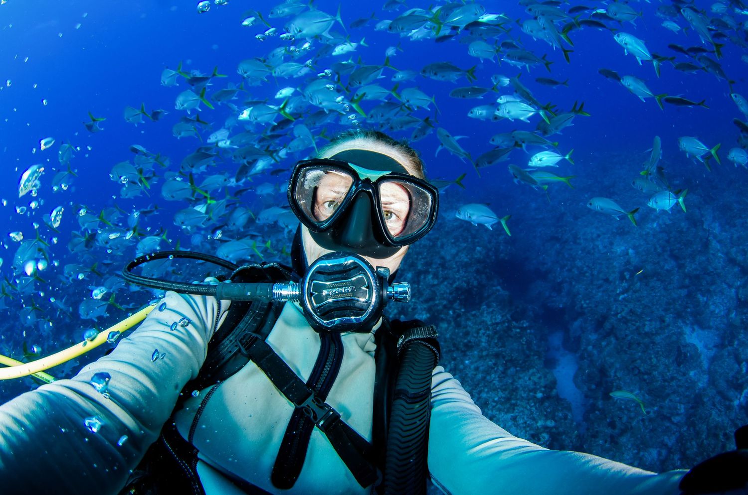 Underwater photographer captures marine life swimming through deep blue ocean waters.