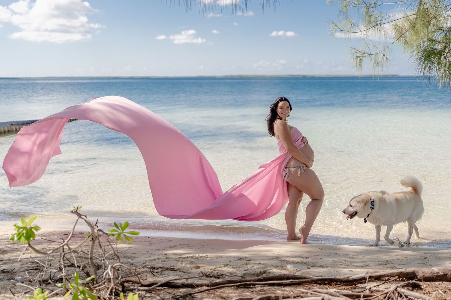 Pink fabric flows in the breeze on a tropical beach with turquoise water and white dog.