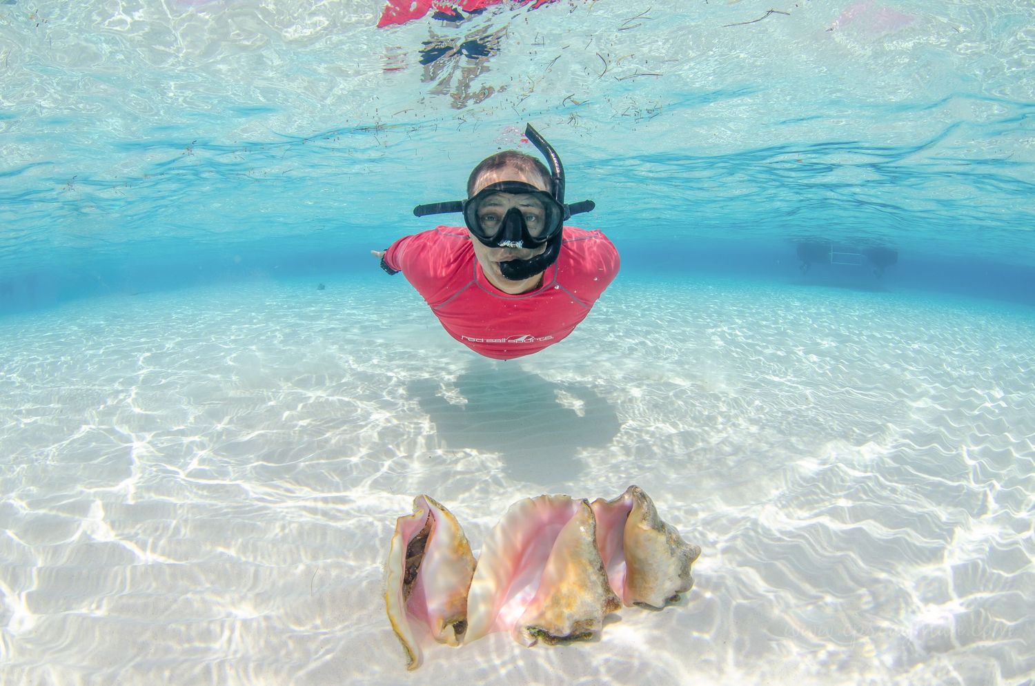 Snorkeler swimming in shallow turquoise water over white sandy bottom with snorkel gear.