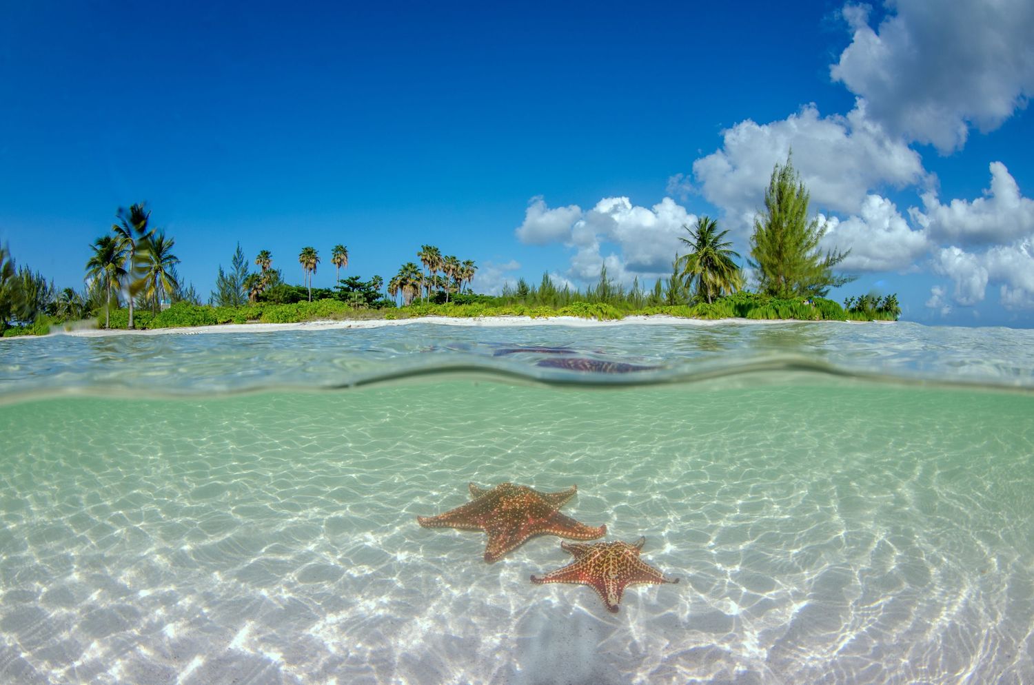 Pristine tropical beach landscape with crystal clear waters and palm trees on the horizon.