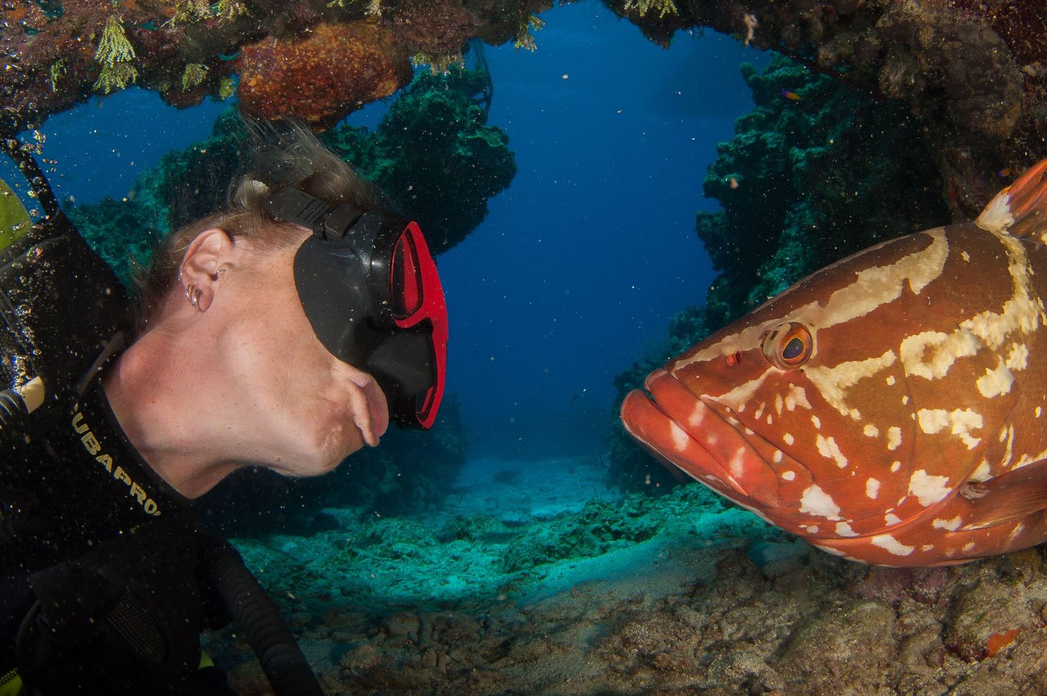 Scuba diver observes colorful coral formations and sea life in tropical reef environment.