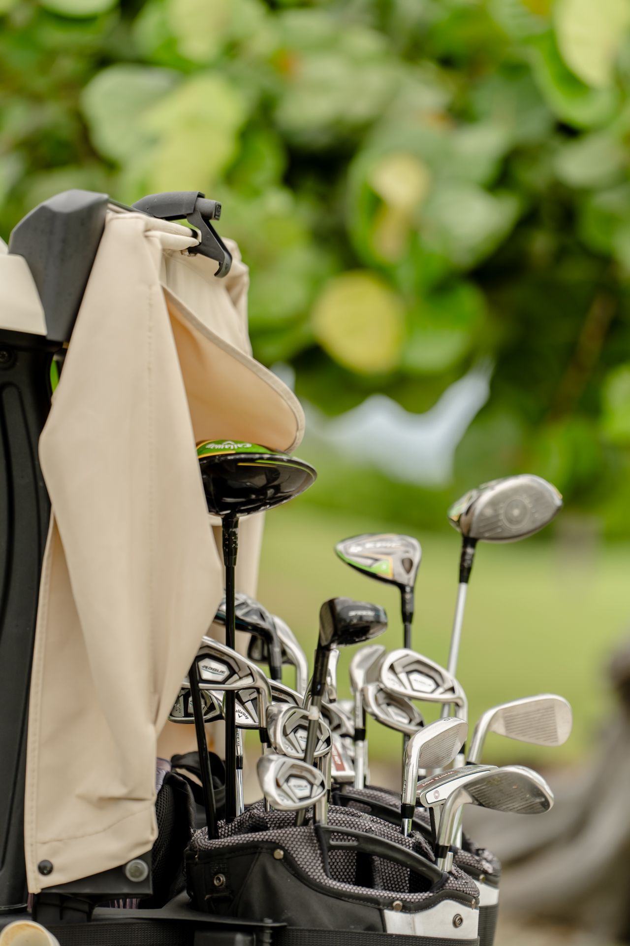 Golf bag filled with various clubs against blurred green foliage background.