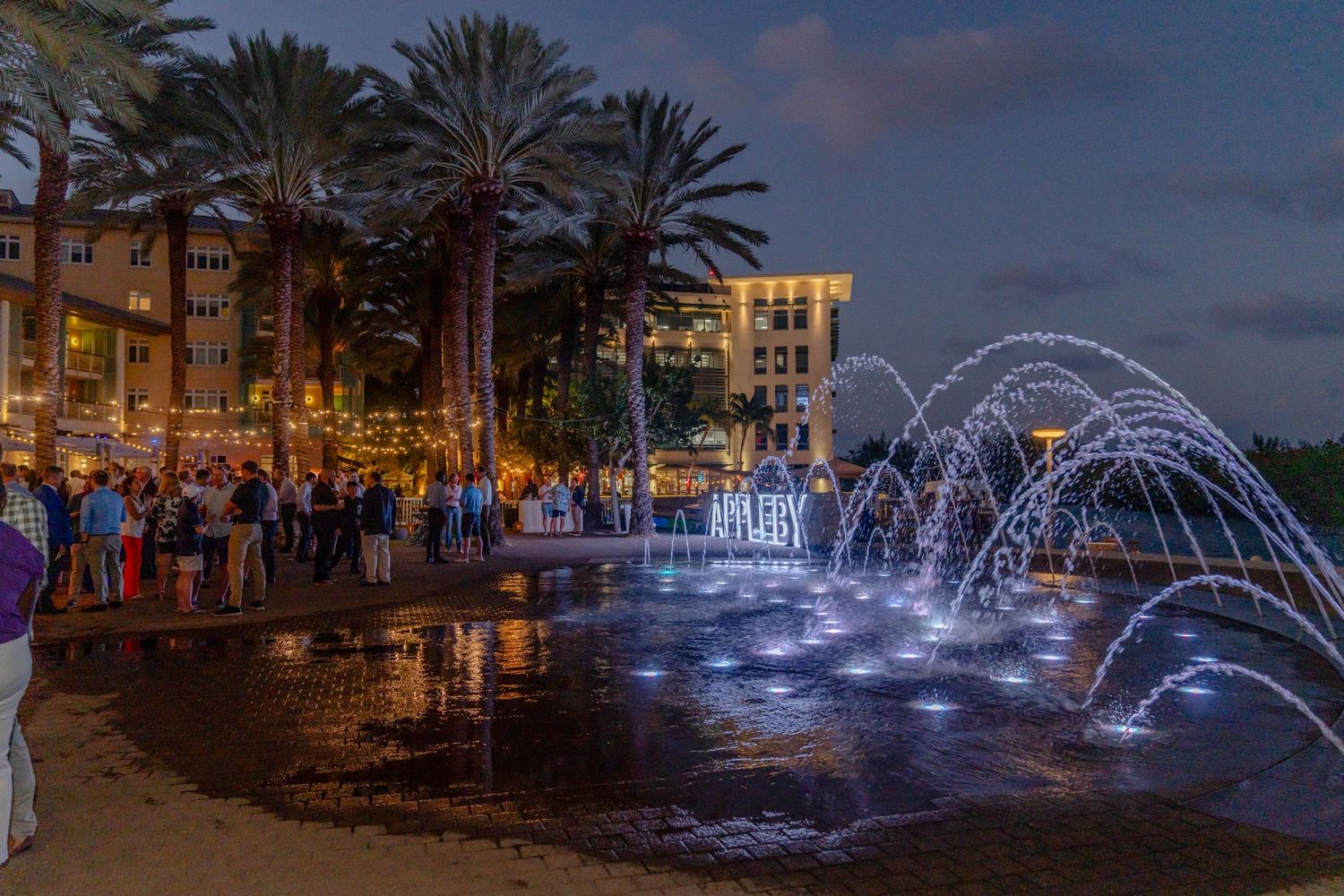 Illuminated fountains and palm trees along city waterfront at night.