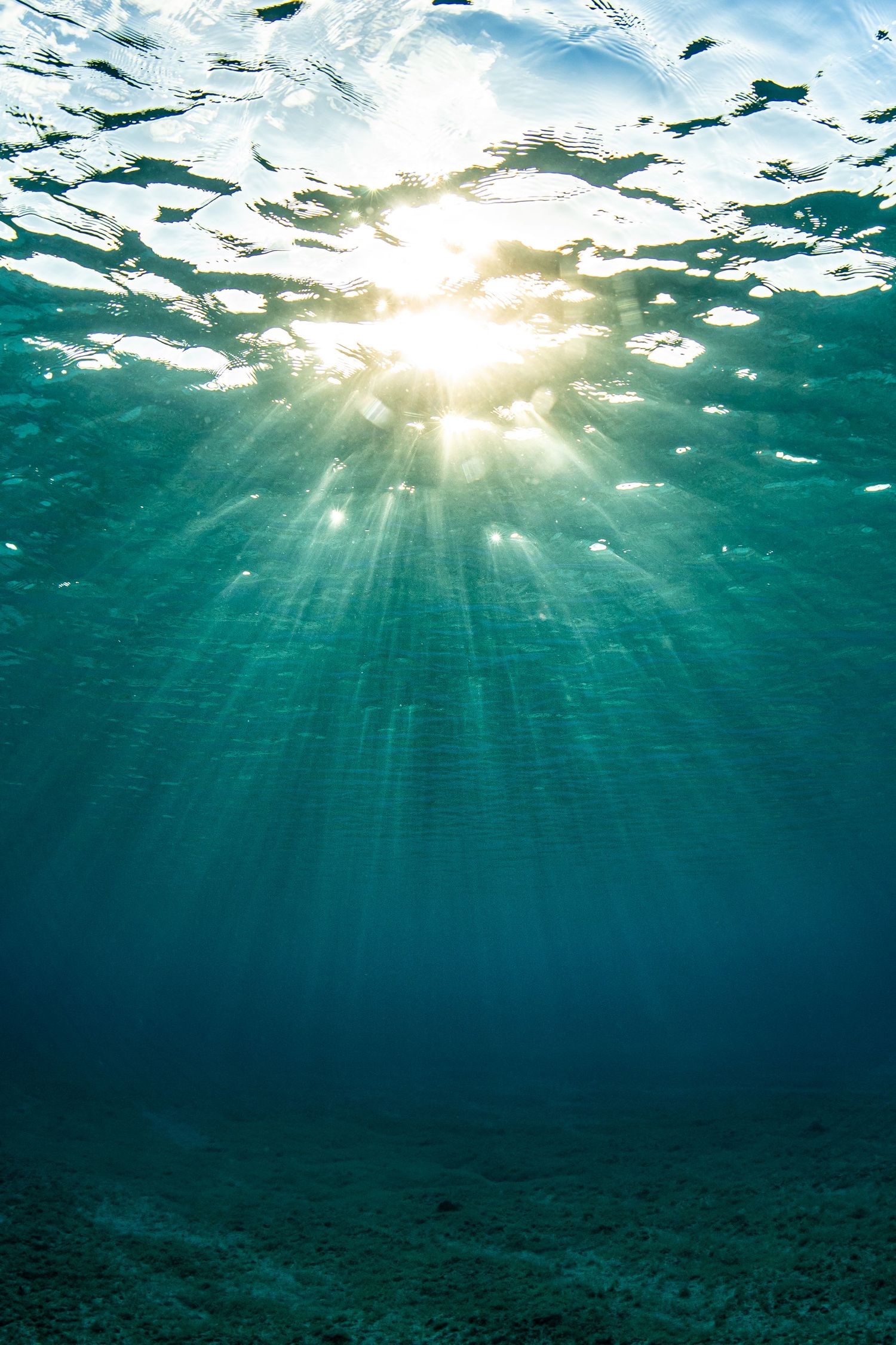 Sunbeams pierce through turquoise waters creating dramatic underwater light rays.