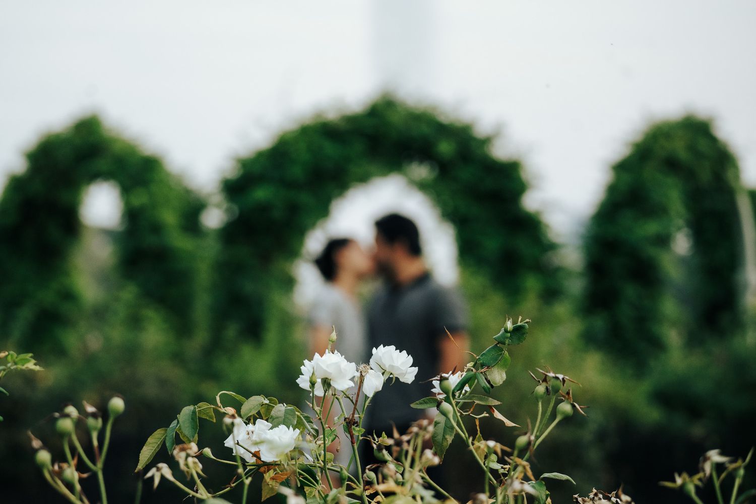Couple sharing a romantic kiss framed by lush green arches with white flowers in the foreground.