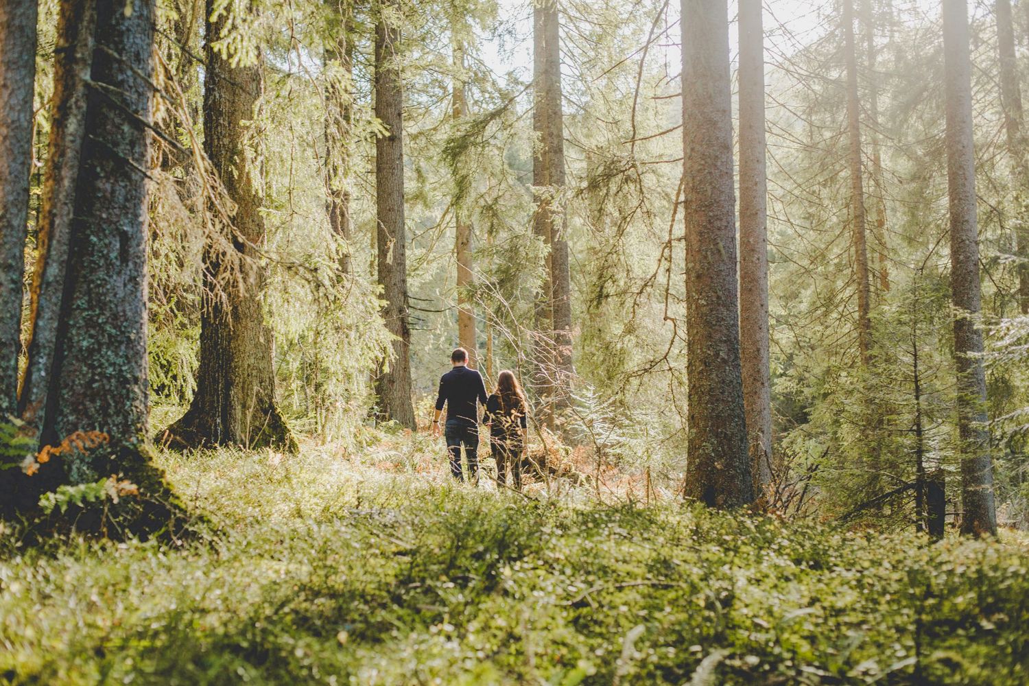 A couple enjoying their engagement session captured by natural candid Morzine Wedding Photographer. Woodland proposal in the French Aps